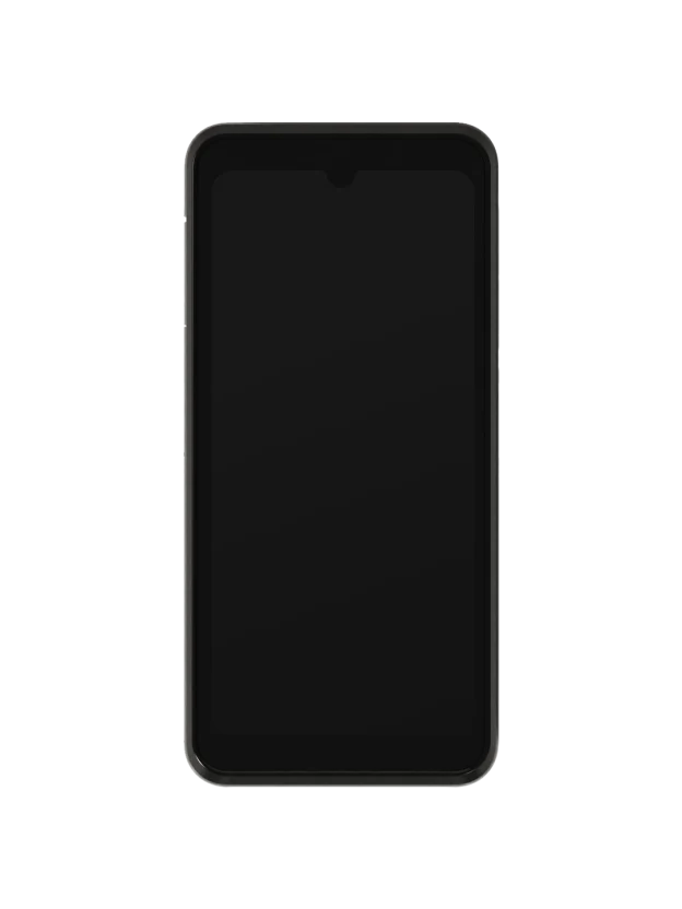 A smartphone displaying a payment terminal screen, supported by Adyen technology.