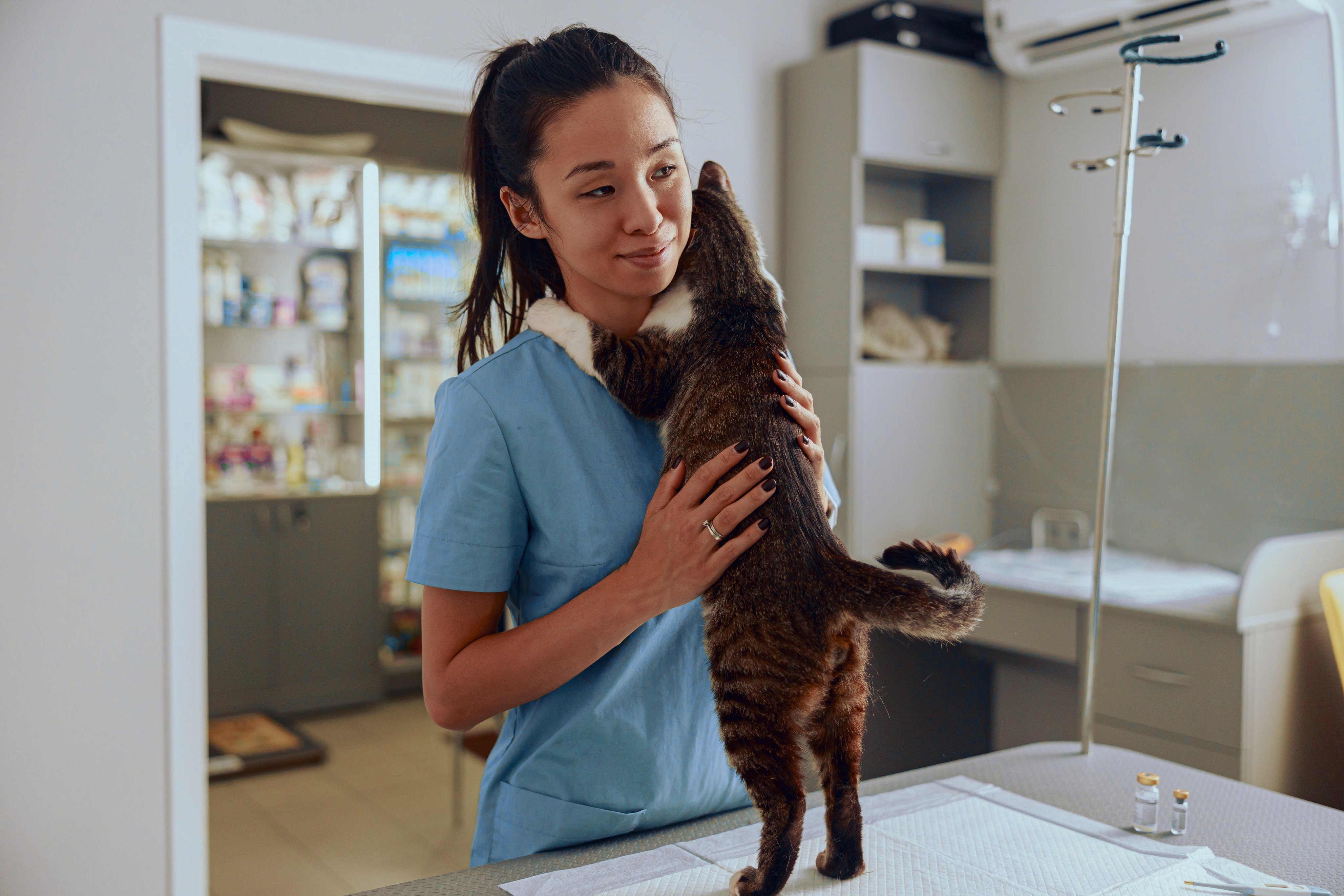 persons at vet engaging  with pets 