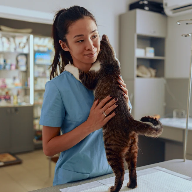 persons at vet engaging with pets