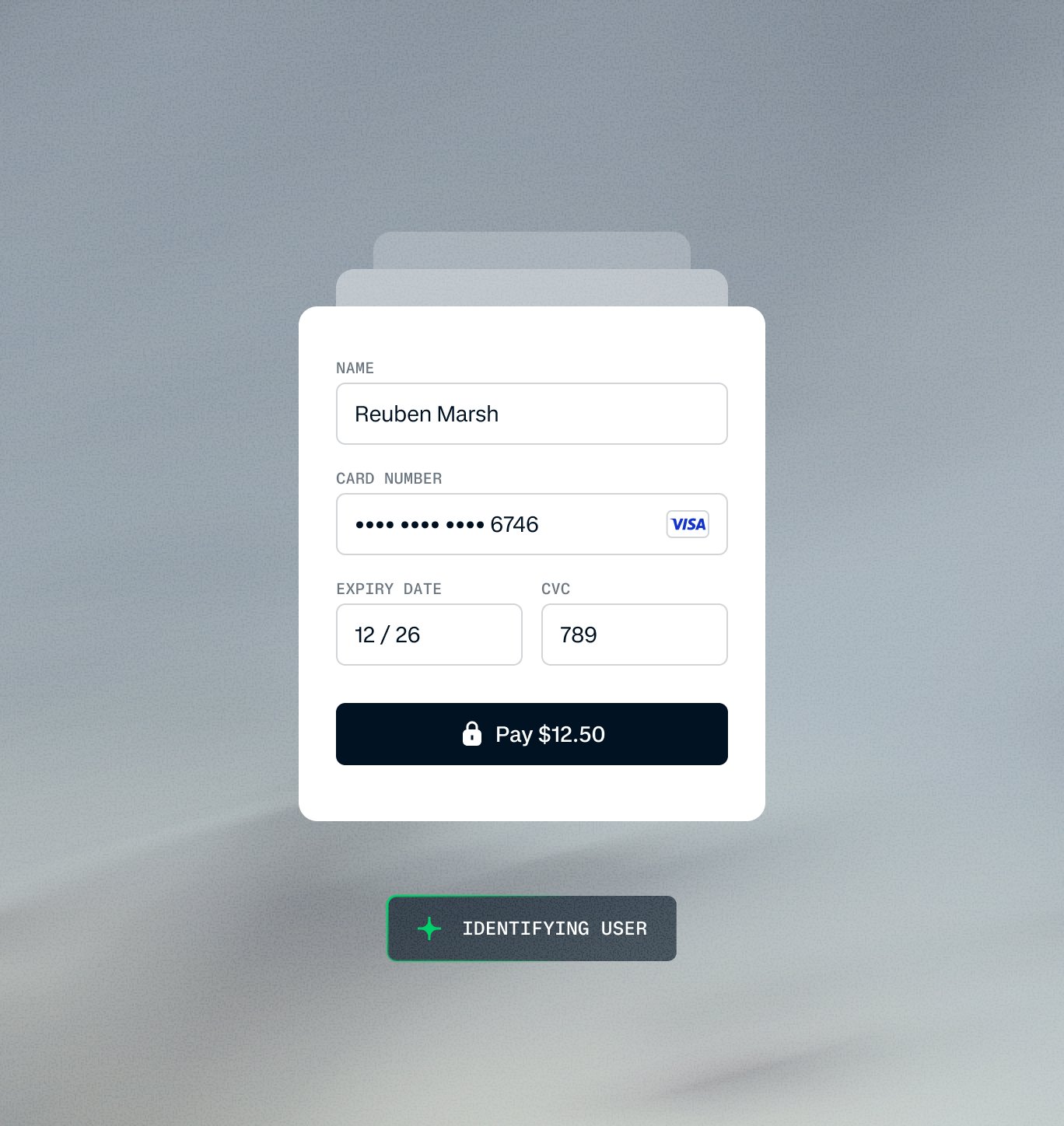 Payment details displayed on a digital interface for a transaction processed via an Adyen payment terminal.