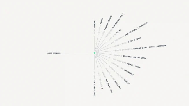 A visual diagram illustrating various payment methods and options supported by Adyen.
