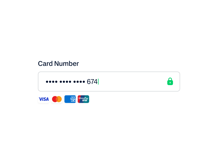 A customer using an Adyen payment terminal equipped with Visa, Mastercard, and other card options.