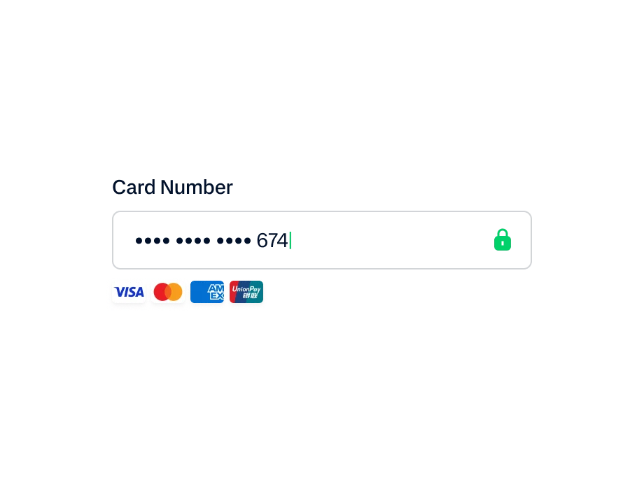 A customer using an Adyen payment terminal equipped with Visa, Mastercard, and other card options.