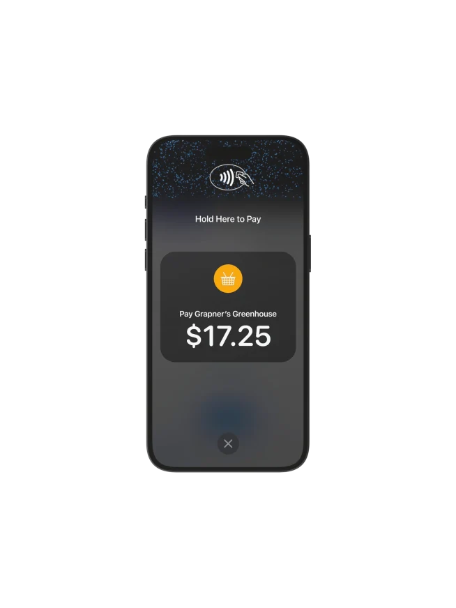 Tap to Pay on iPhone