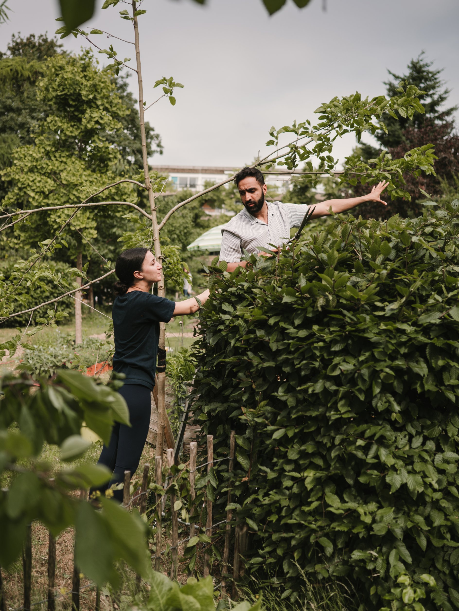 adyen matching arrow continues