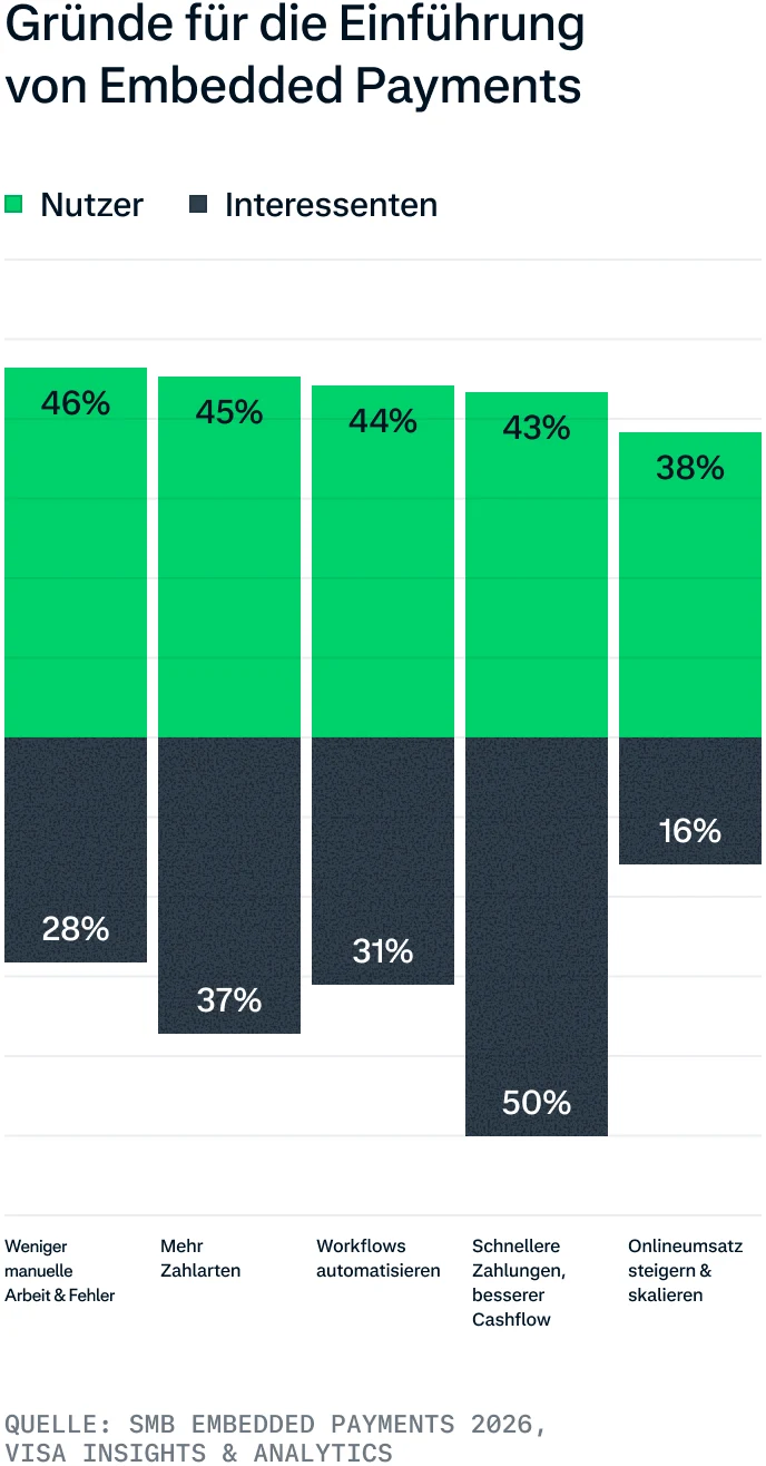 Datenvisualisierung zu SMB Payments für den Deutschland-Report