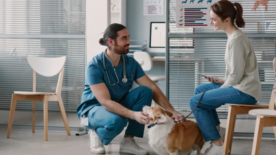 persons at vet engaging with pets