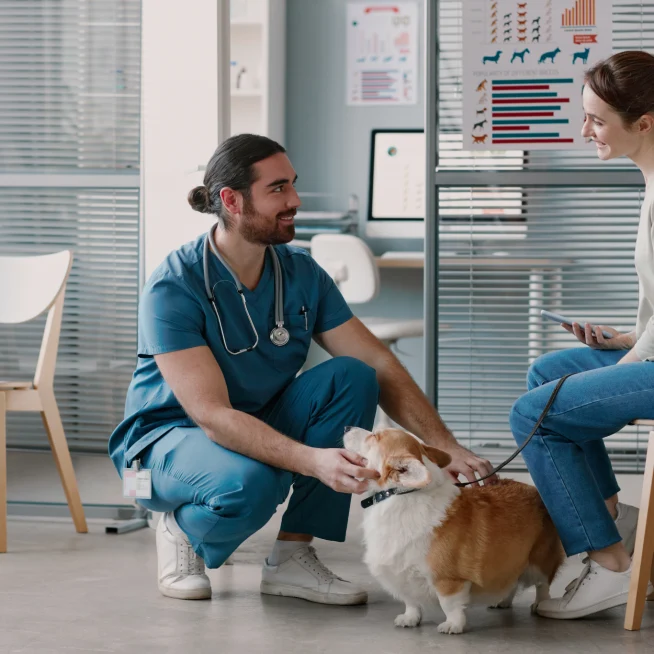 persons at vet engaging with pets