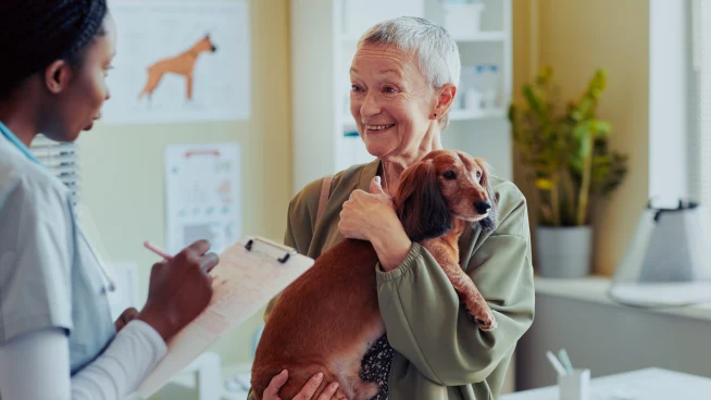 persons at vet engaging with pets
