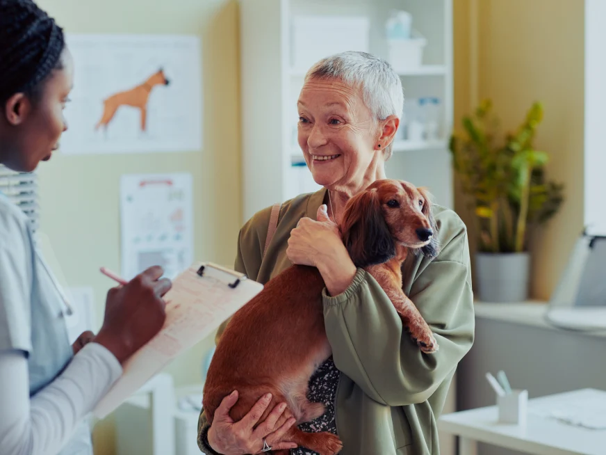 persons at vet engaging with pets