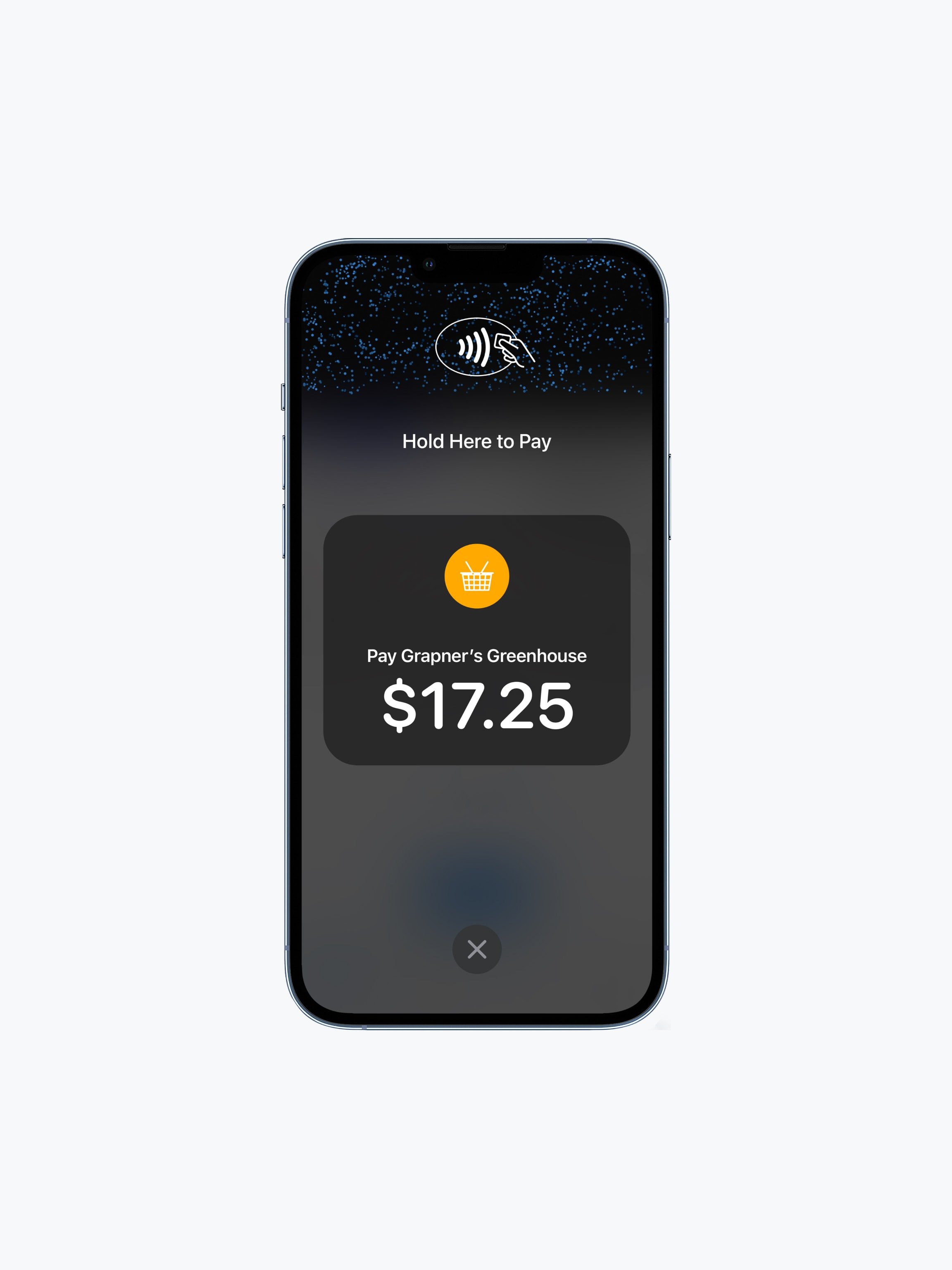 Smartphone screen displaying a contactless payment prompt for Adyen with an amount of $17.25.