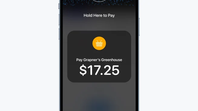 Smartphone screen displaying a contactless payment prompt for Adyen with an amount of $17.25.
