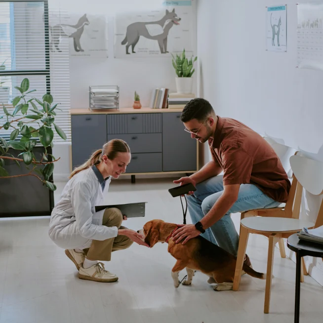 Adyen team members and a customer with a service dog in a modern office setting