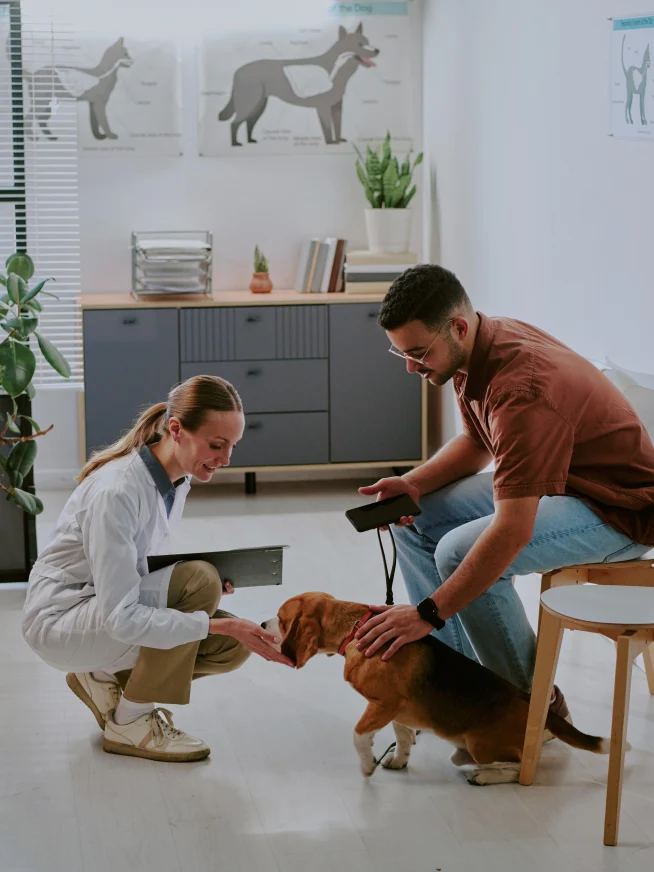 Adyen team members and a customer with a service dog in a modern office setting
