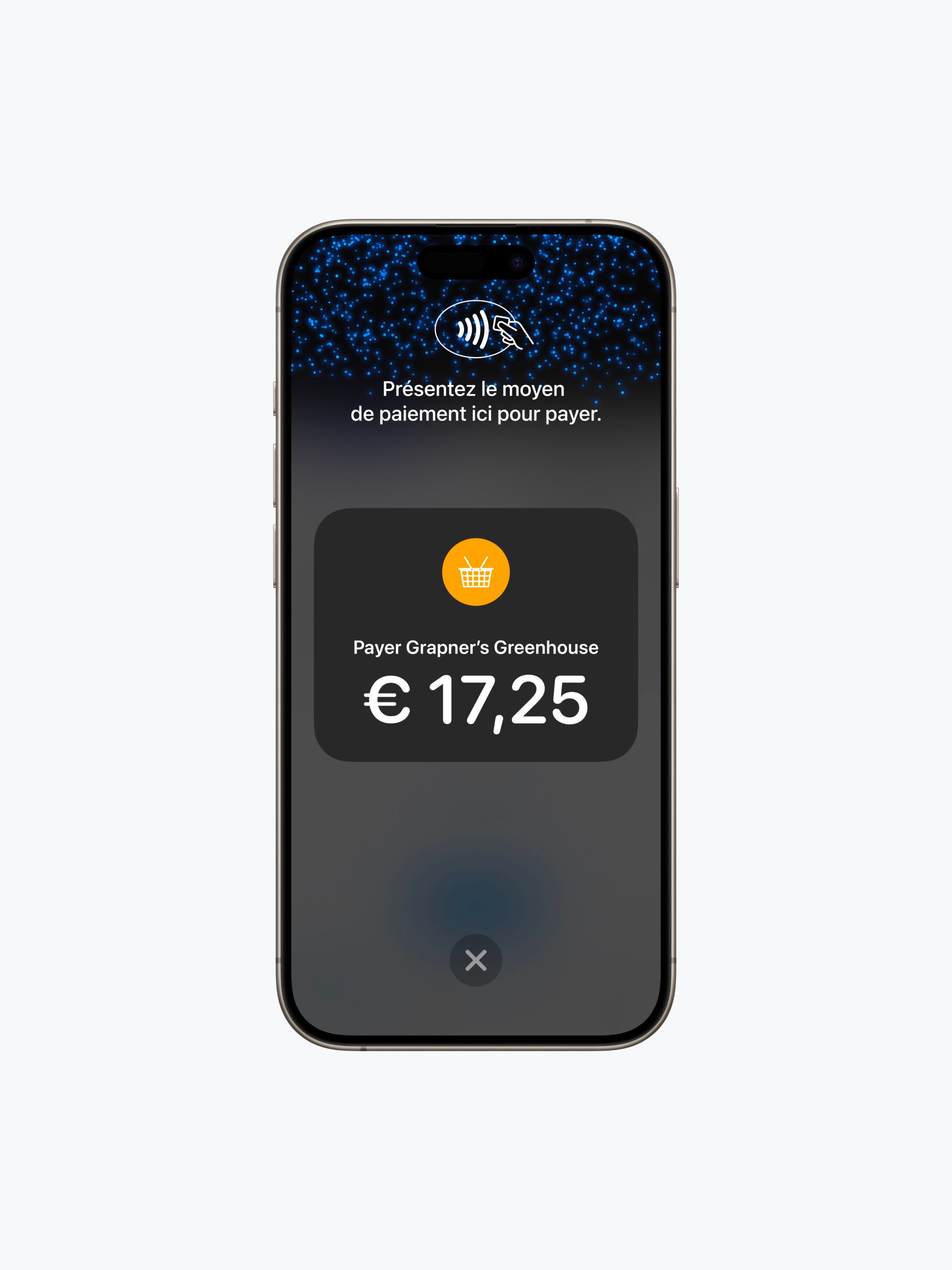 Téléphone intelligent affichant un écran de paiement en français pour une transaction de 17,25 €