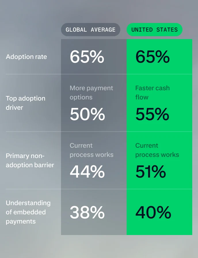 SMB Payments report data visualization for global report
