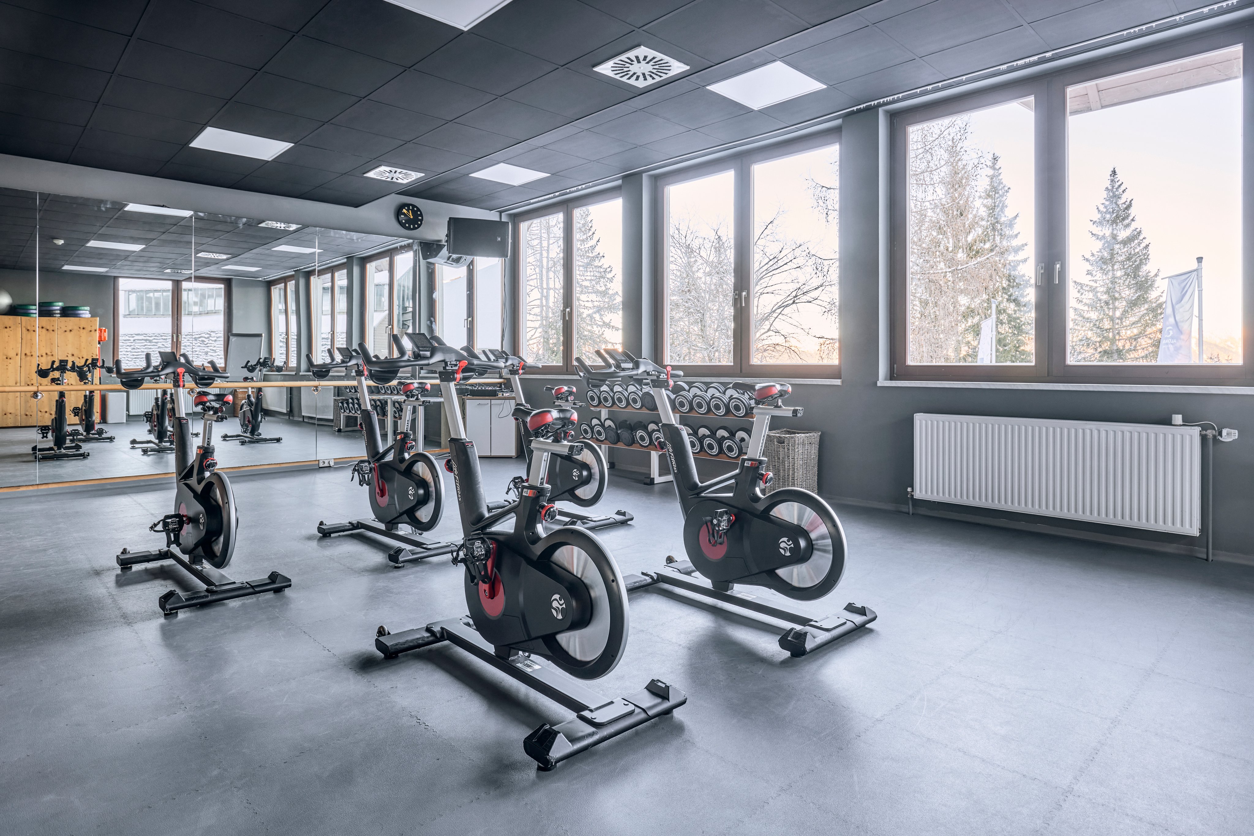 Interior eines Fitnessraums bei Aldiana mit Cardio-Geräten und großem Fenster.