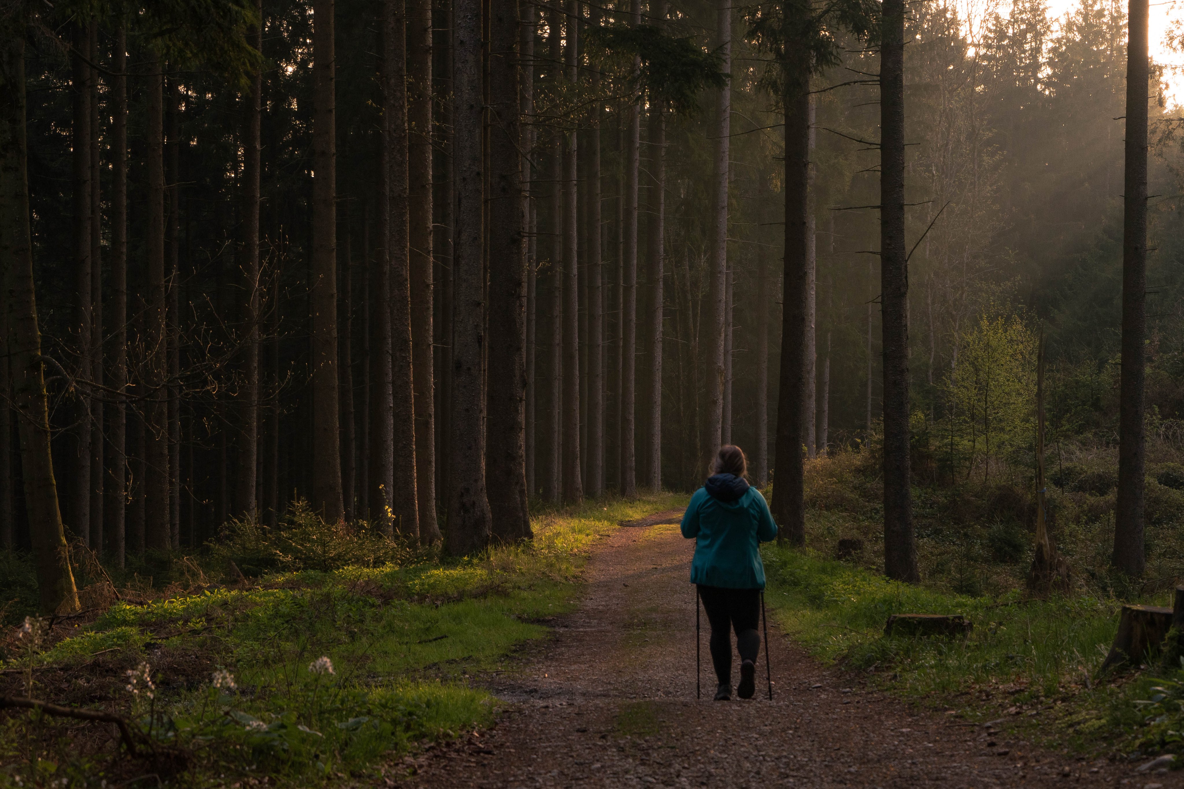 Bild eines Wanderers im Wald bei Sonnenaufgang, Idealer Premium Cluburlaub Ort von Aldiana