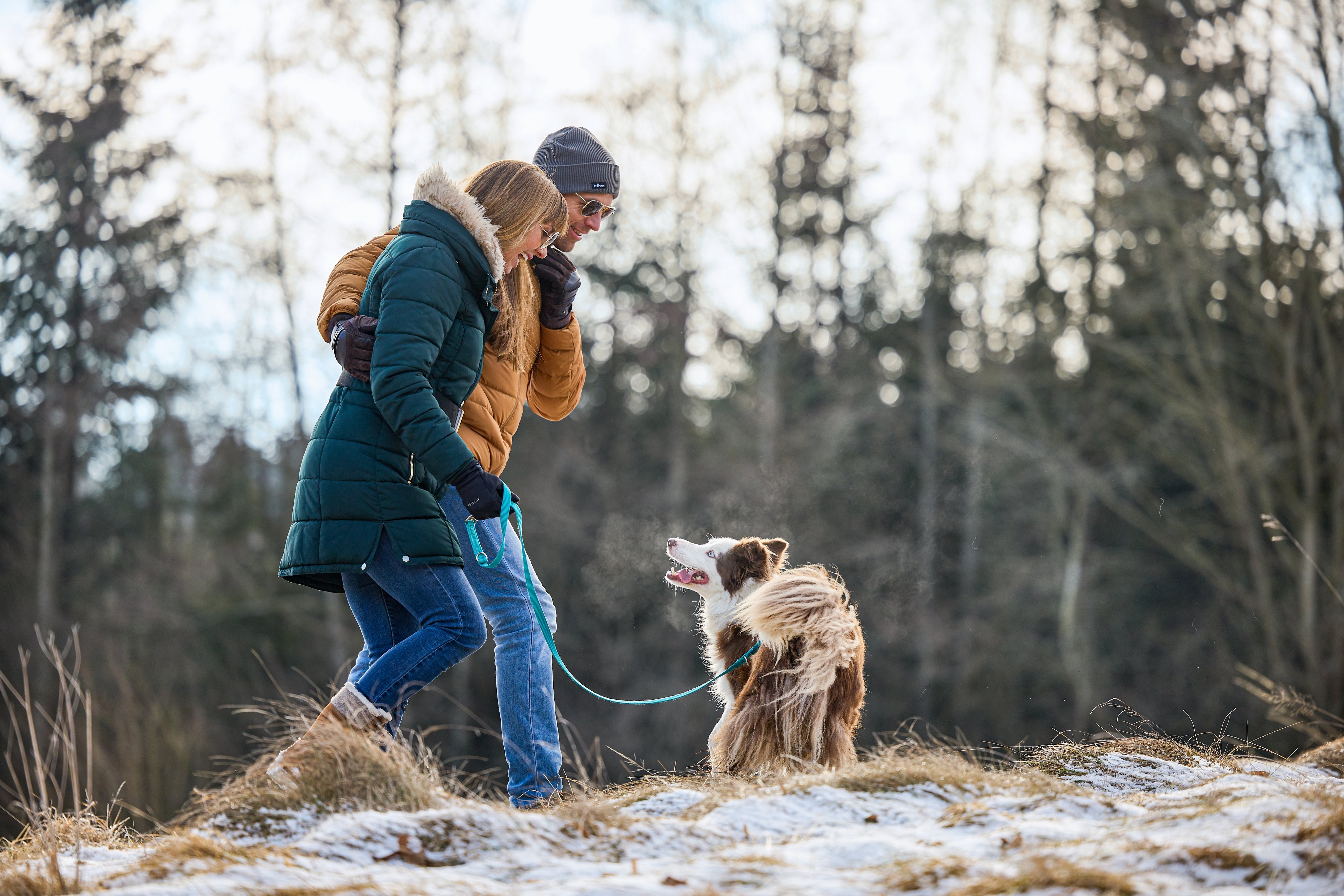 Zwei Personen mit Hund im Wald beim Spaziergang, entspannter Premium Cluburlaub in der Natur