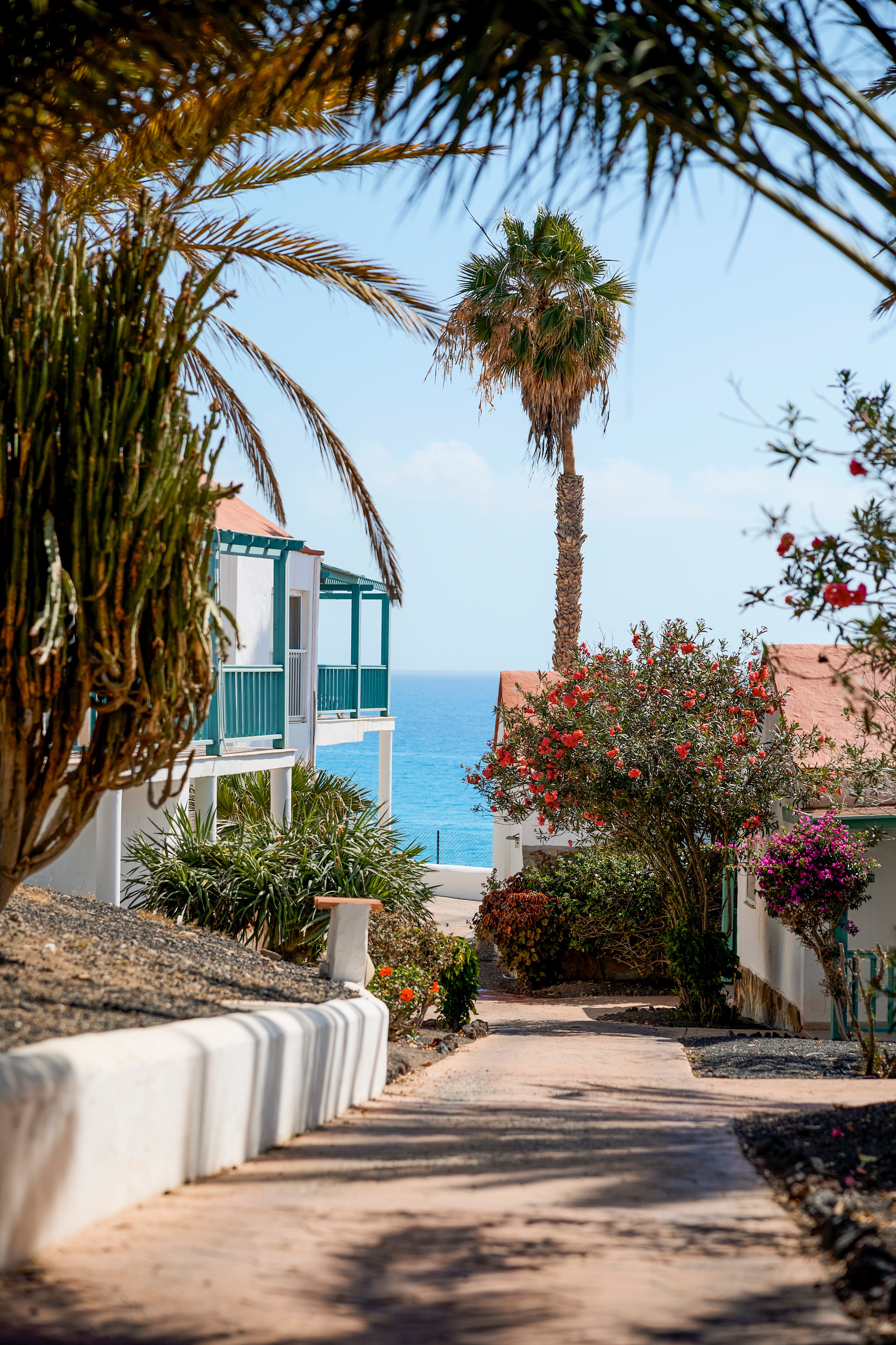 Bilder eines Aldiana Premium Cluburlaubs mit Palme, Meer und tropischer Vegetation