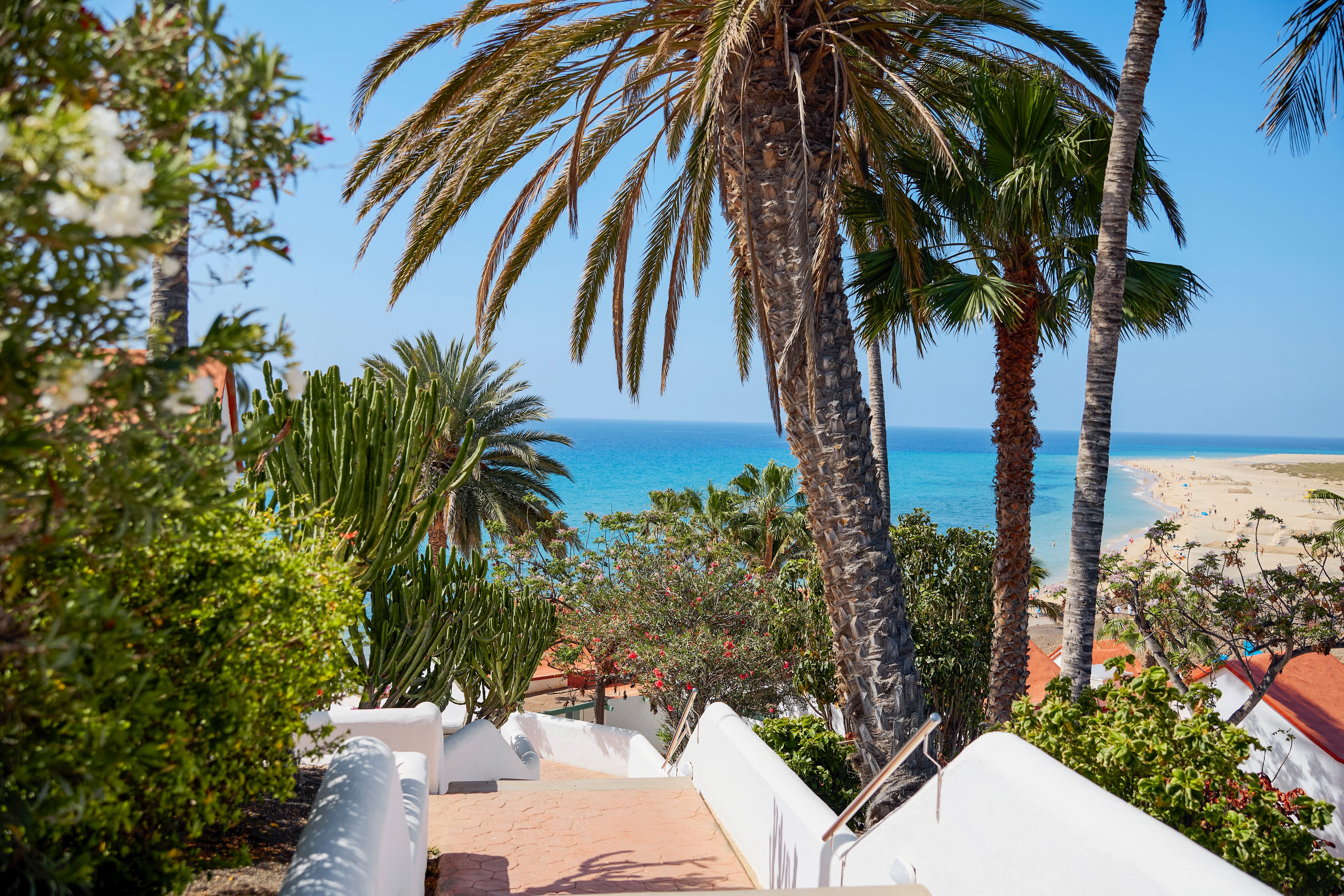 Bilder von Aldiana, Premium Cluburlaub, Palmen, Meer und Strand in Urlaubsatmosphäre