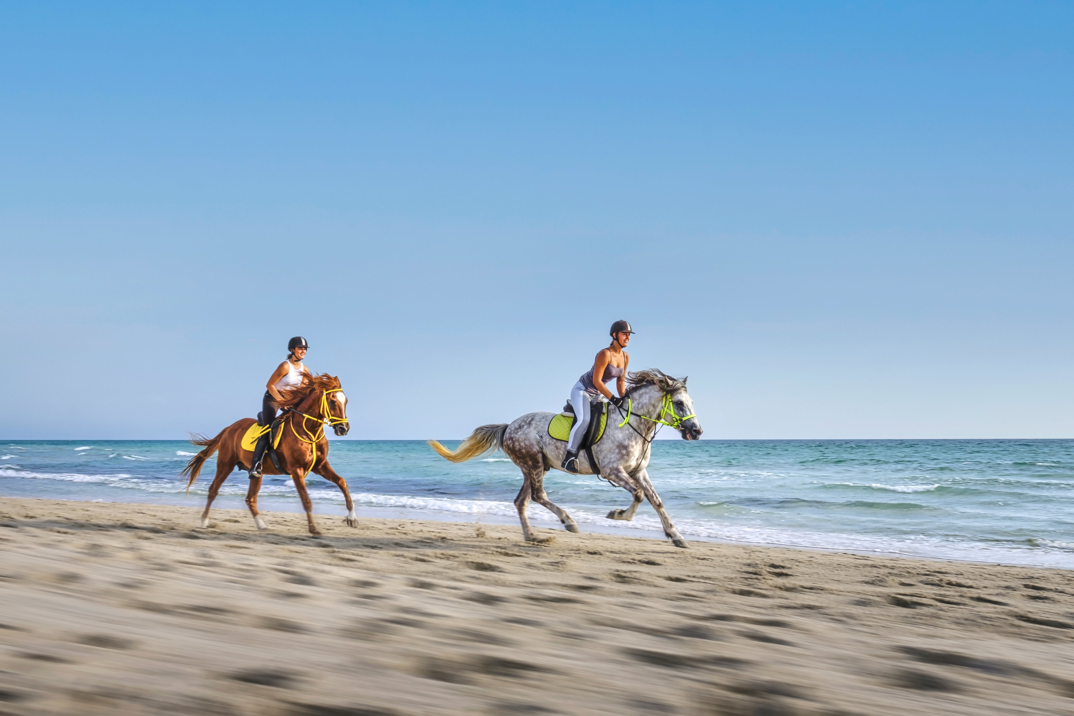 Zwei Menschen reiten am Strand auf Pferden an der Küste entlang