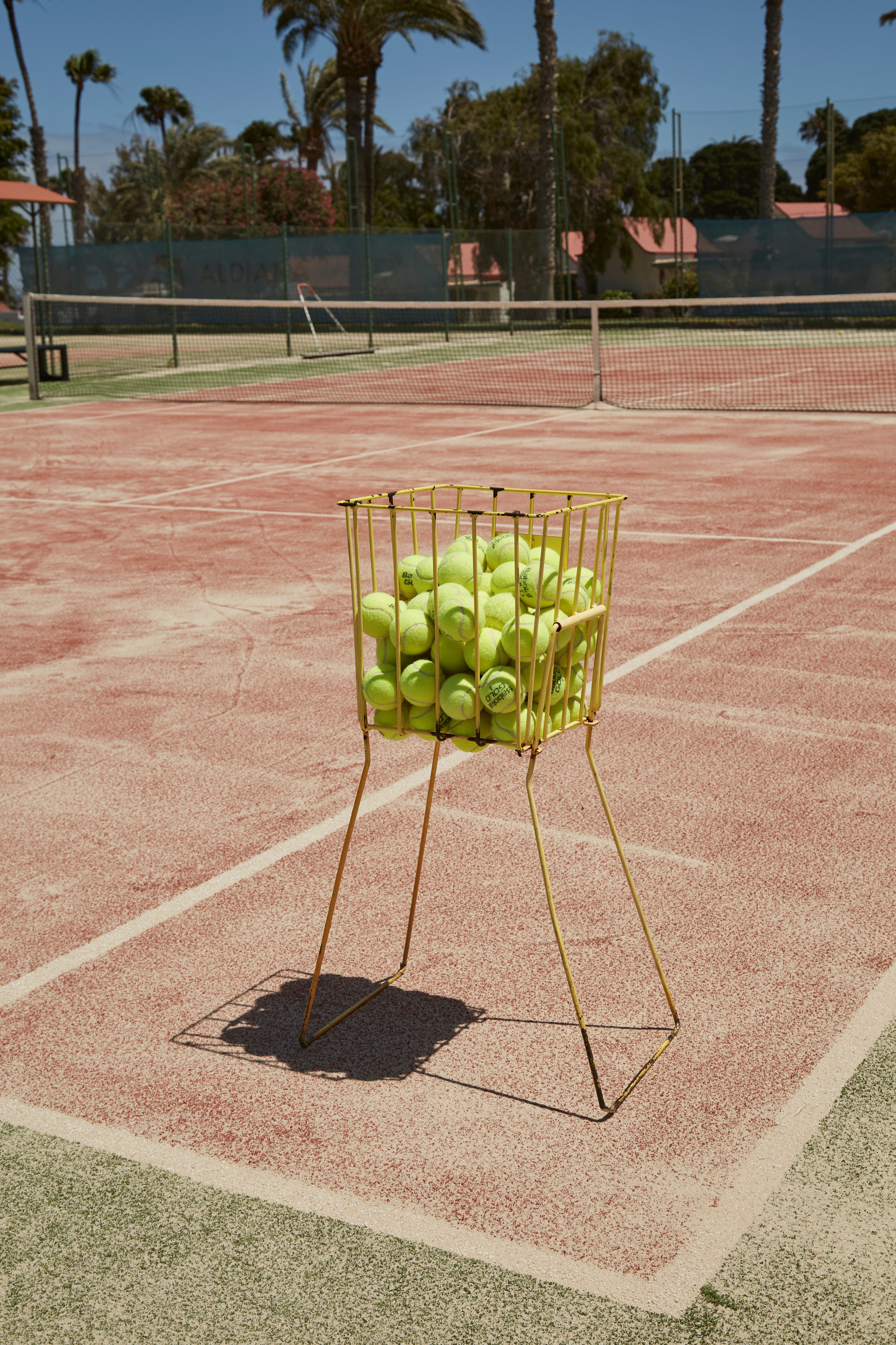 Blick auf Tennisplatz mit Korb voller grüner Tennisbälle, Sonnenlicht, Palmen, Urlaubsatmosphäre