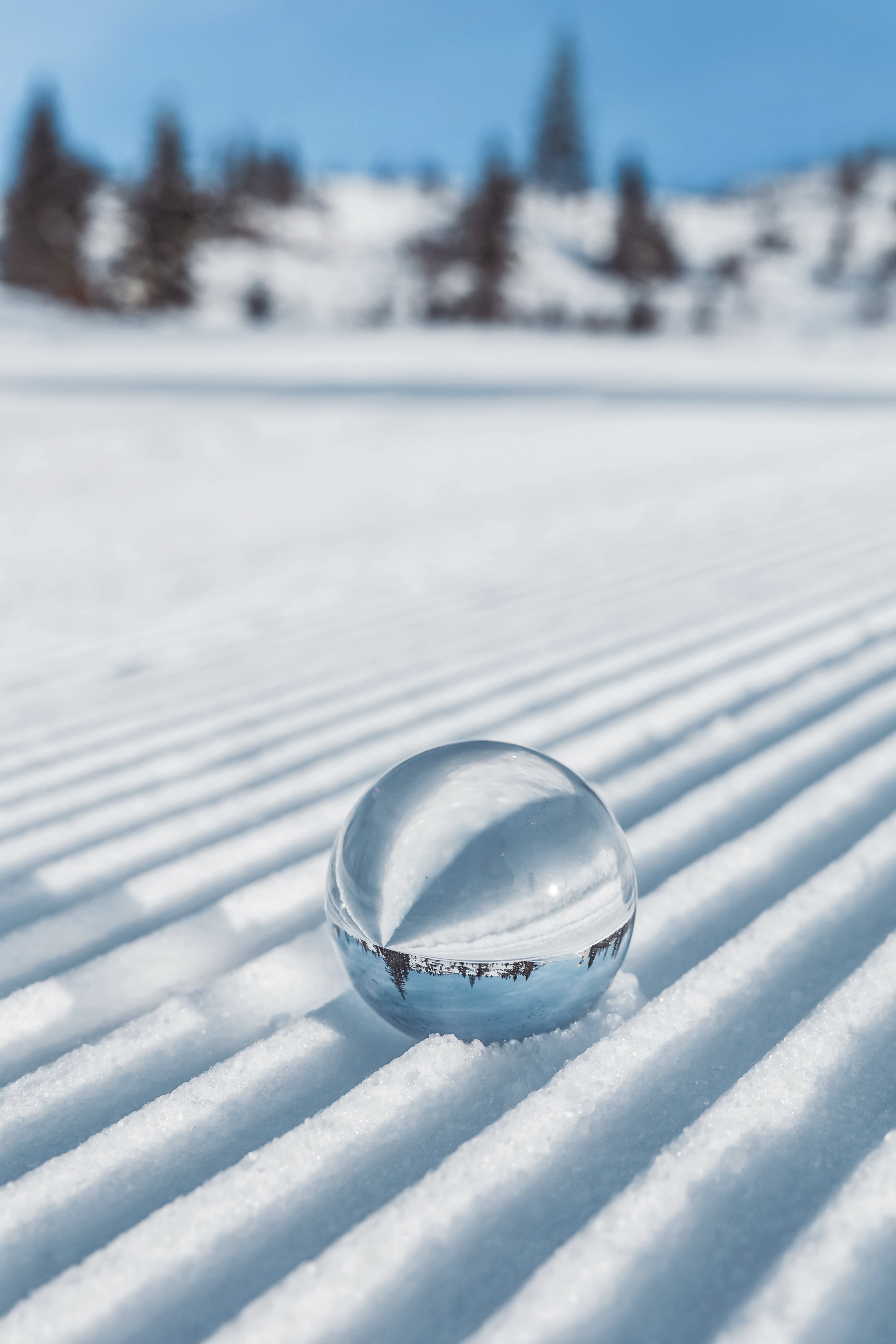 Ein klarer Glaskugel auf schneebedecktem Untergrund mit verschneiter Winterlandschaft im Hintergrund