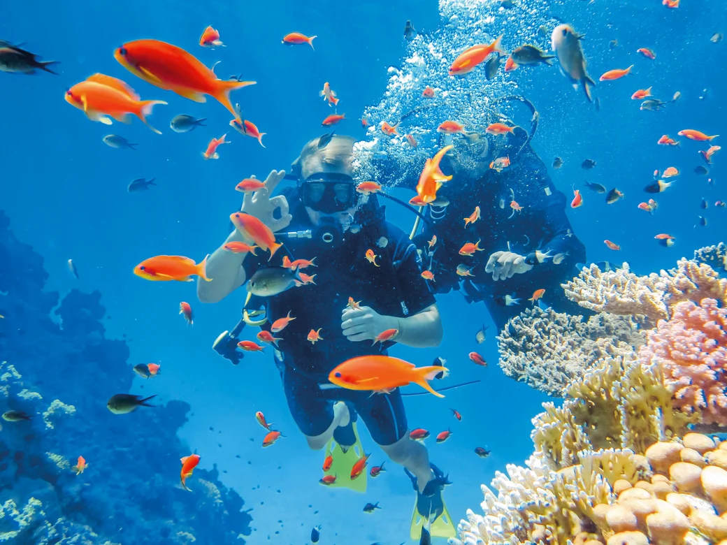Taucher im Korallenriff bei Aldiana, einem Premium Cluburlaub Anbieter