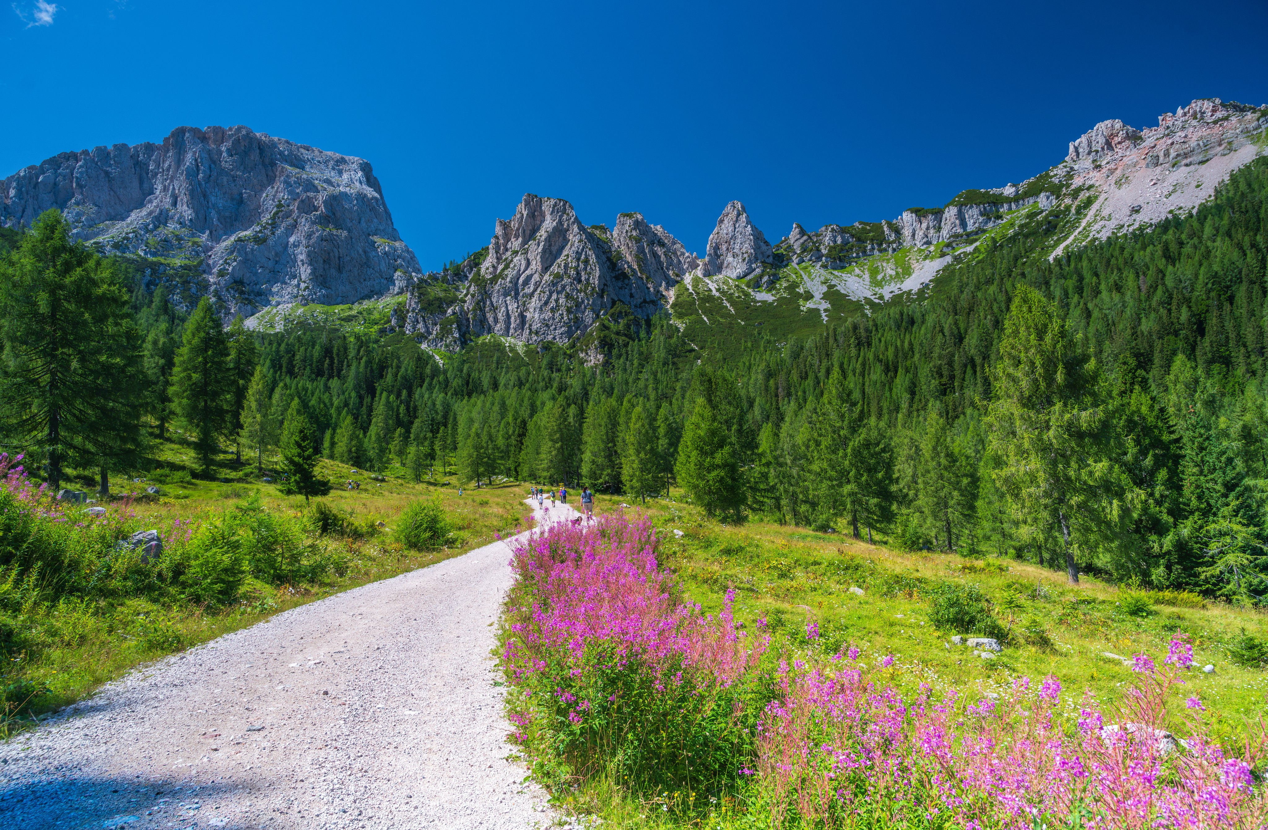 Elegant Berglandschaft mit grünen Wäldern und bunten Blumen für Premium Cluburlaub bei Aldiana
