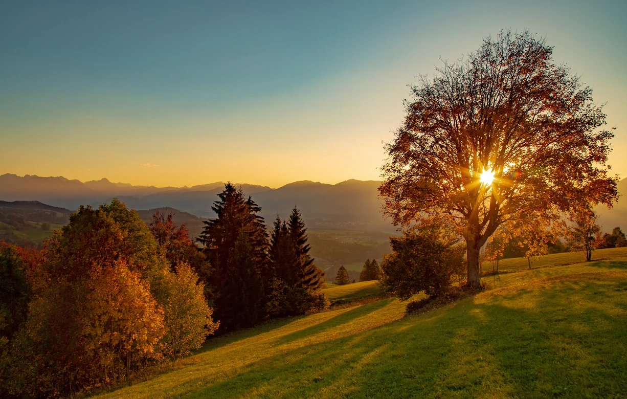 Ein sonniger Landschaftsbild mit Bäumen und Bergen, ideal für Premium Cluburlaub bei Aldiana