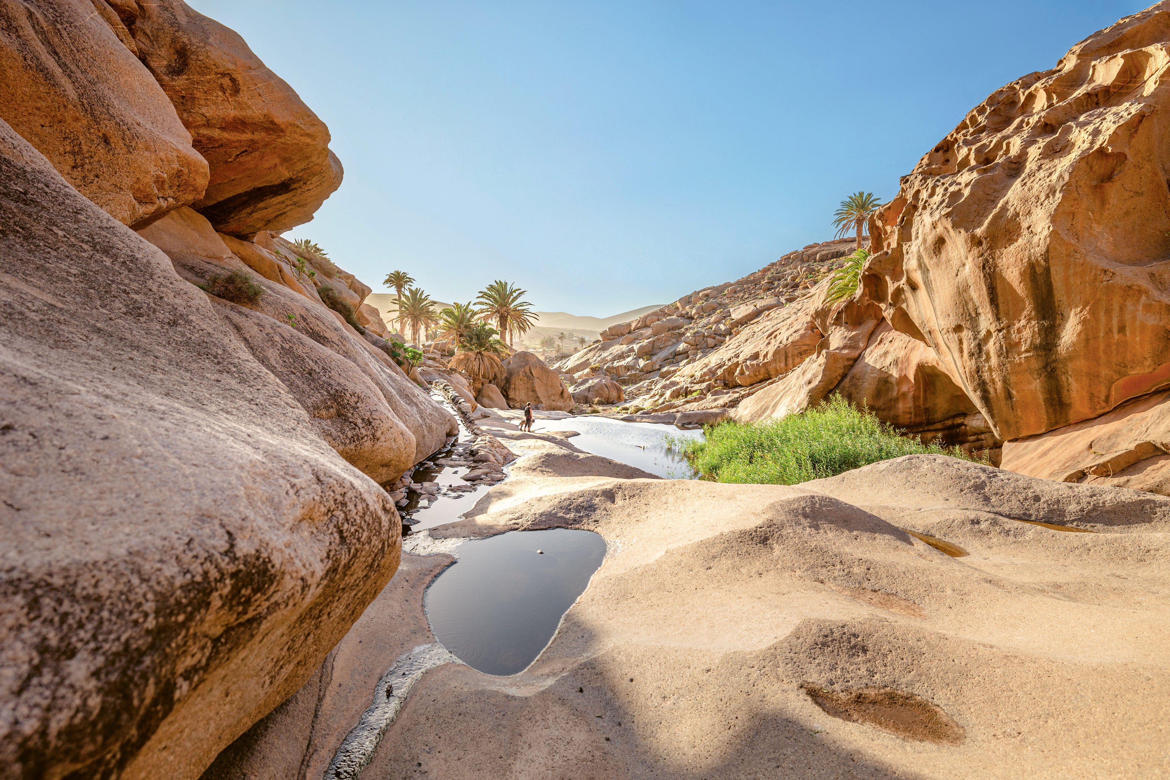 Berg- und Flusslandschaft im Wüstenklima mit Palmen und klaren Wasserpools