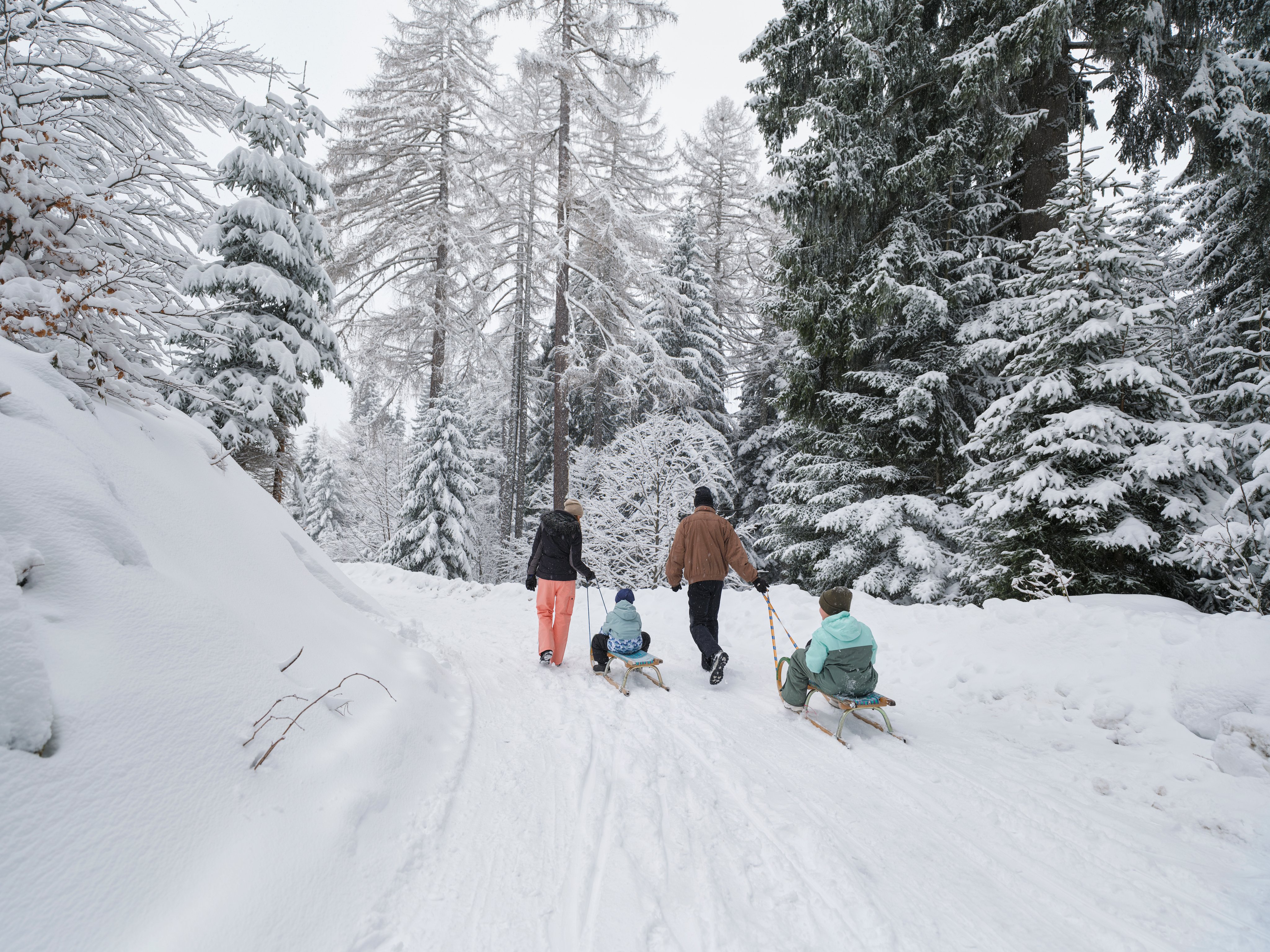 Familie beim Winterspaziergang im verschneiten Wald für einen Premium Cluburlaub bei Aldiana