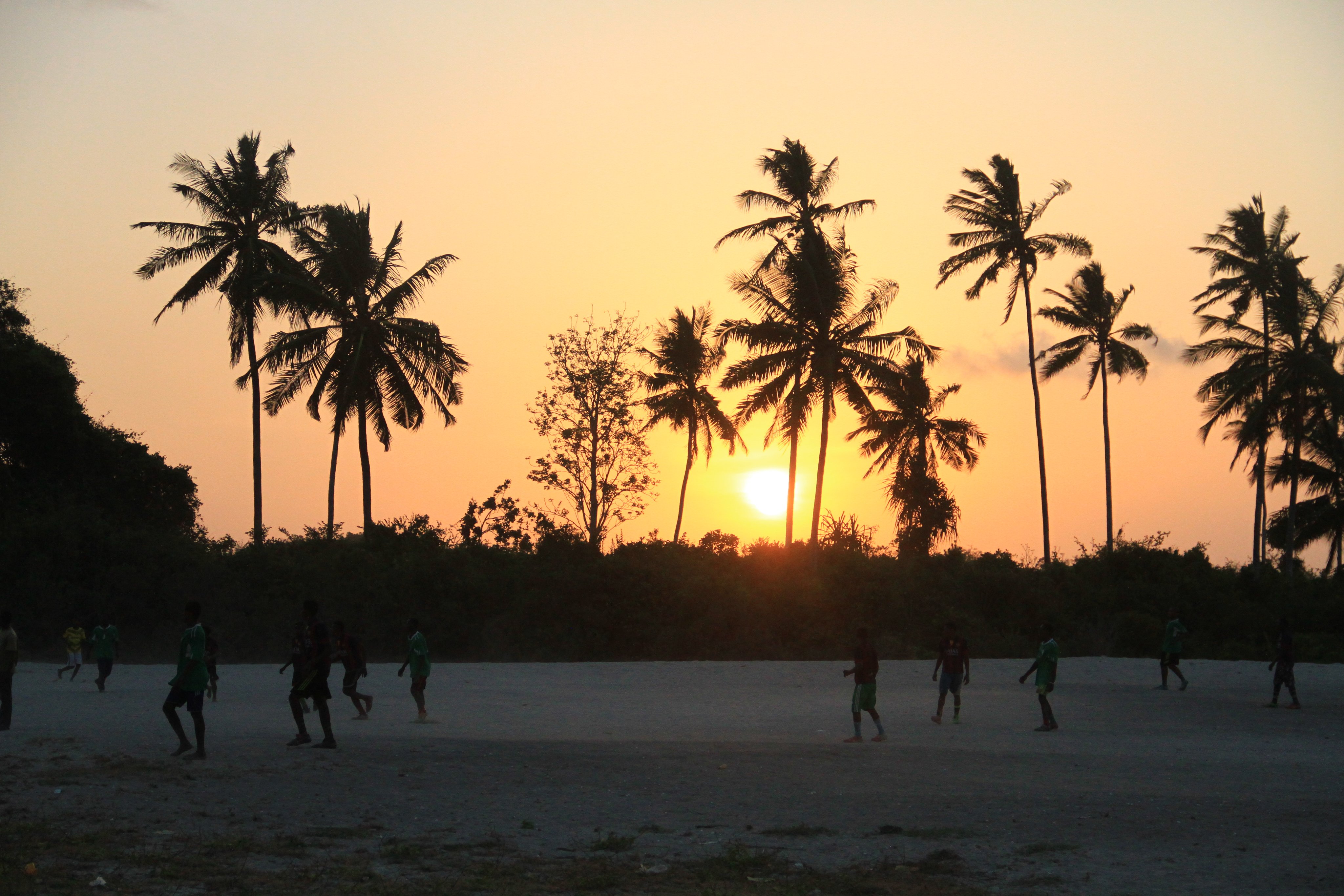 Sonnenuntergang über Palmen am Strand, entspannter Urlaub bei Aldiana.