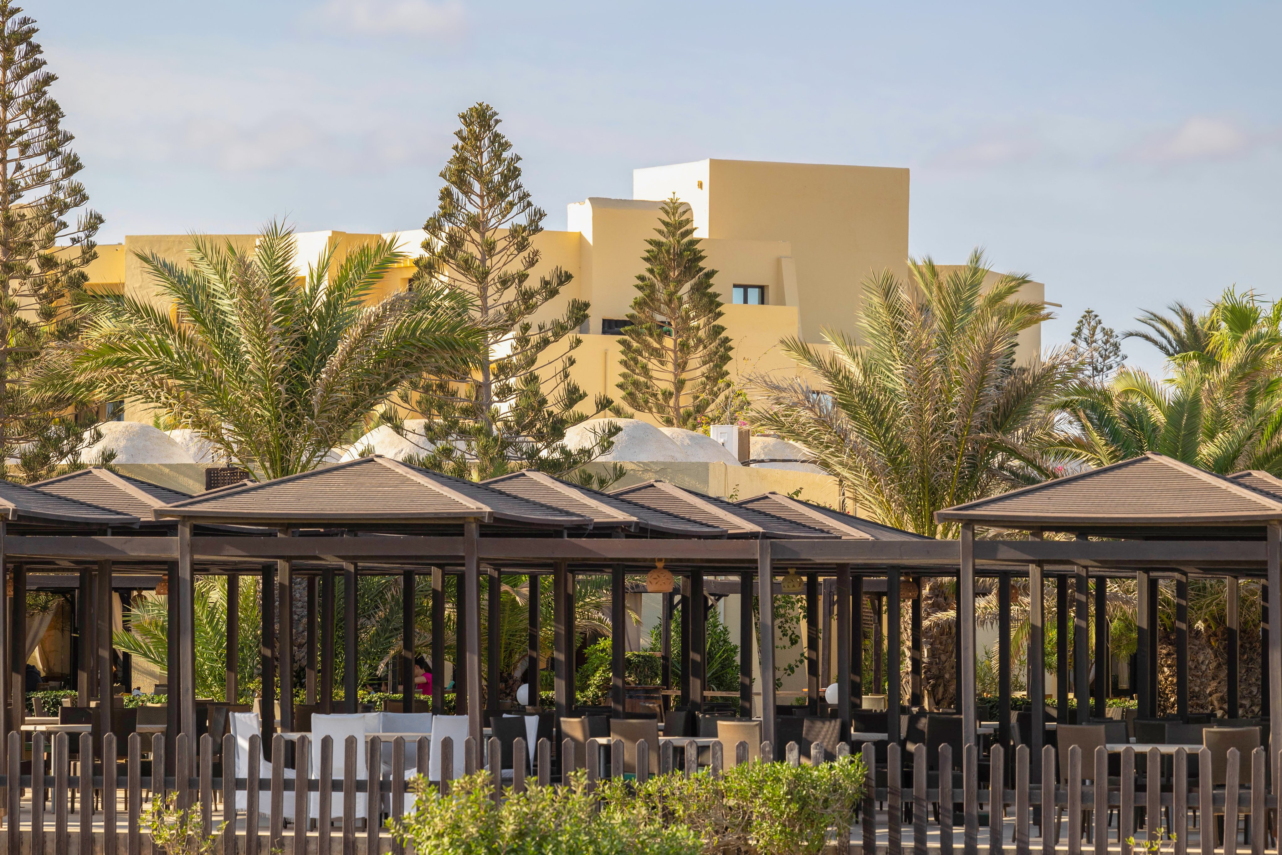 Bild eines exklusiven Aldiana Premium Cluburlaubsbereichs mit Liegestühlen und Palmen