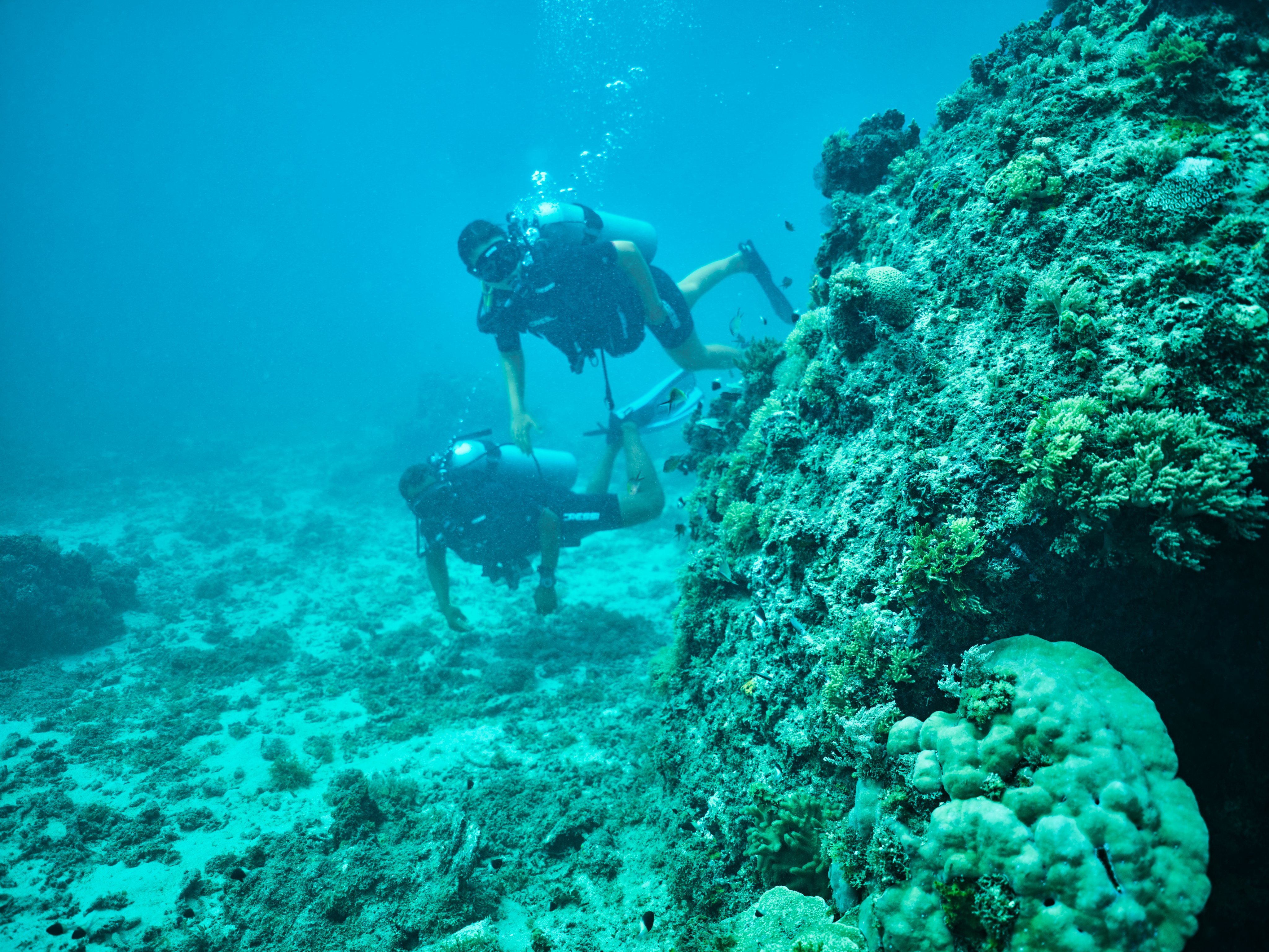 Taucher beim Schnorcheln im klaren Wasser vor einem bunten Korallenriff bei Aldiana
