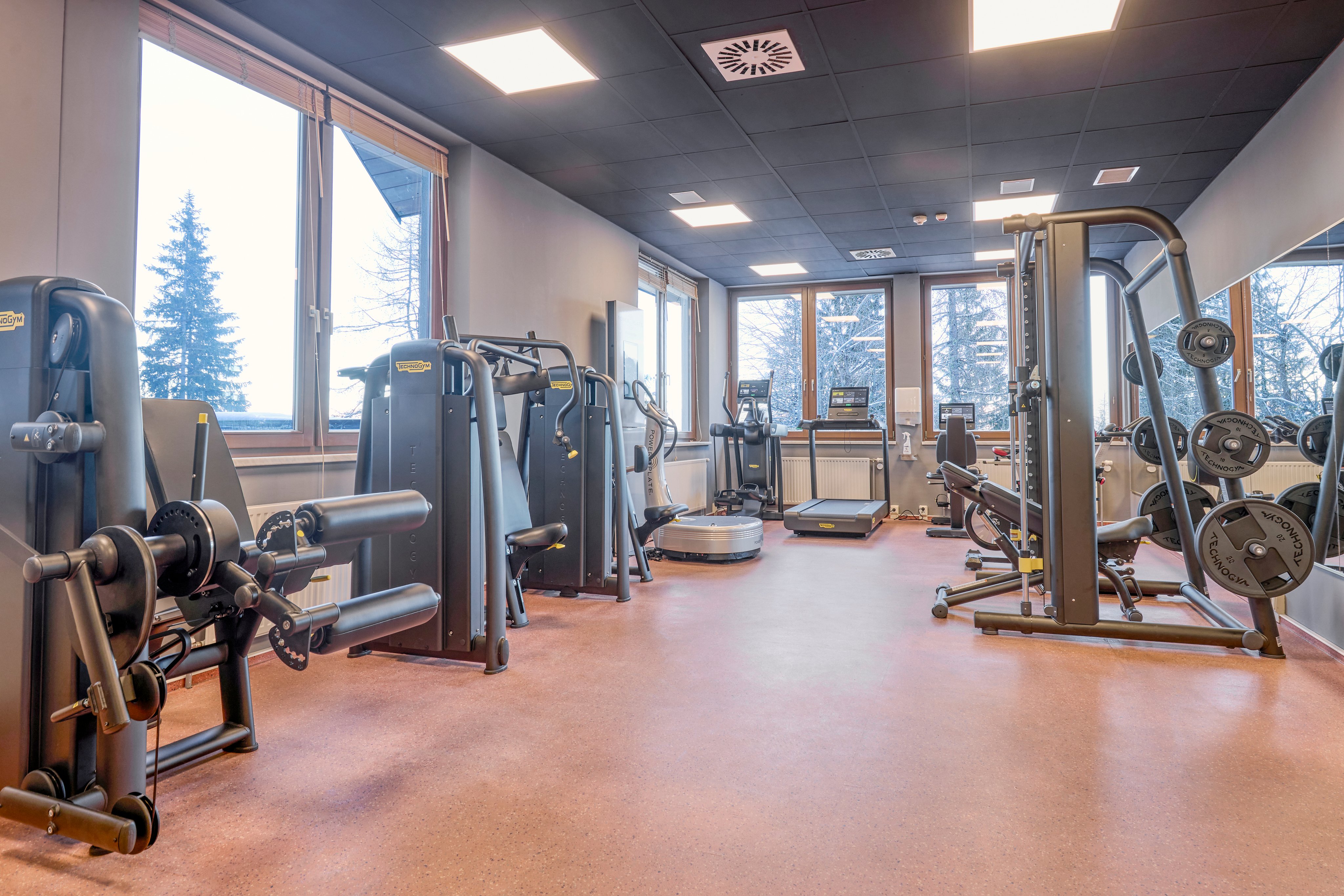 Modernes Fitnessstudio mit Fitnessgeräten, viel Tageslicht und Blick ins Freie