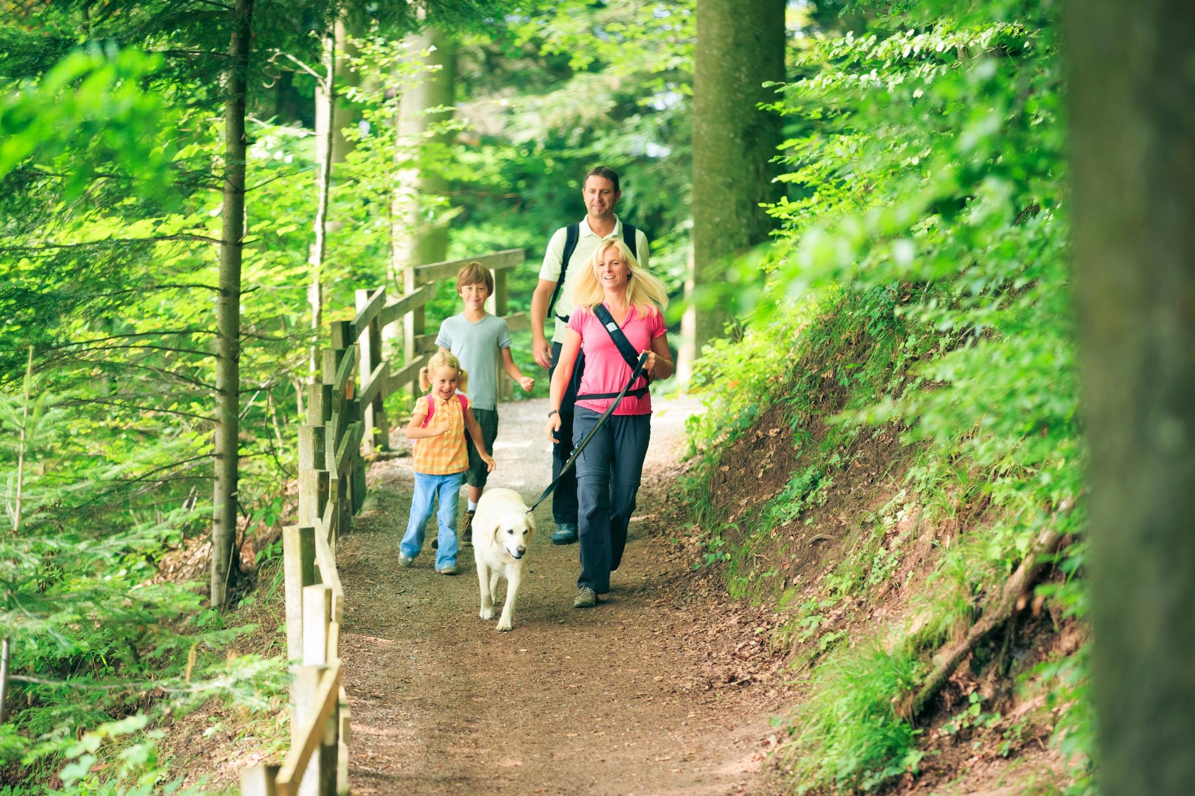 Familien beim Wandern im grünen Wald, entspannter Familienurlaub bei Aldiana