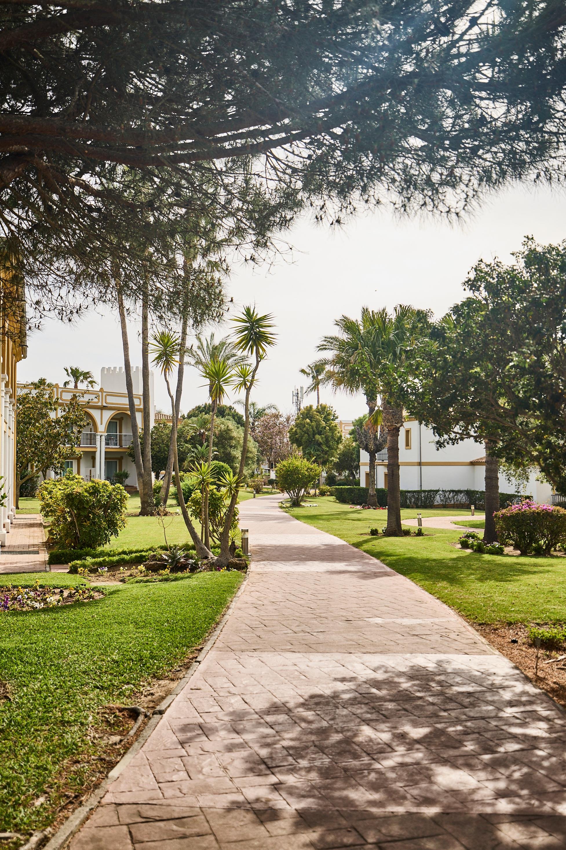Ein gepflegter Weg im alidana Premium Cluburlaub mit Palmen und Schatten unter Bäumen