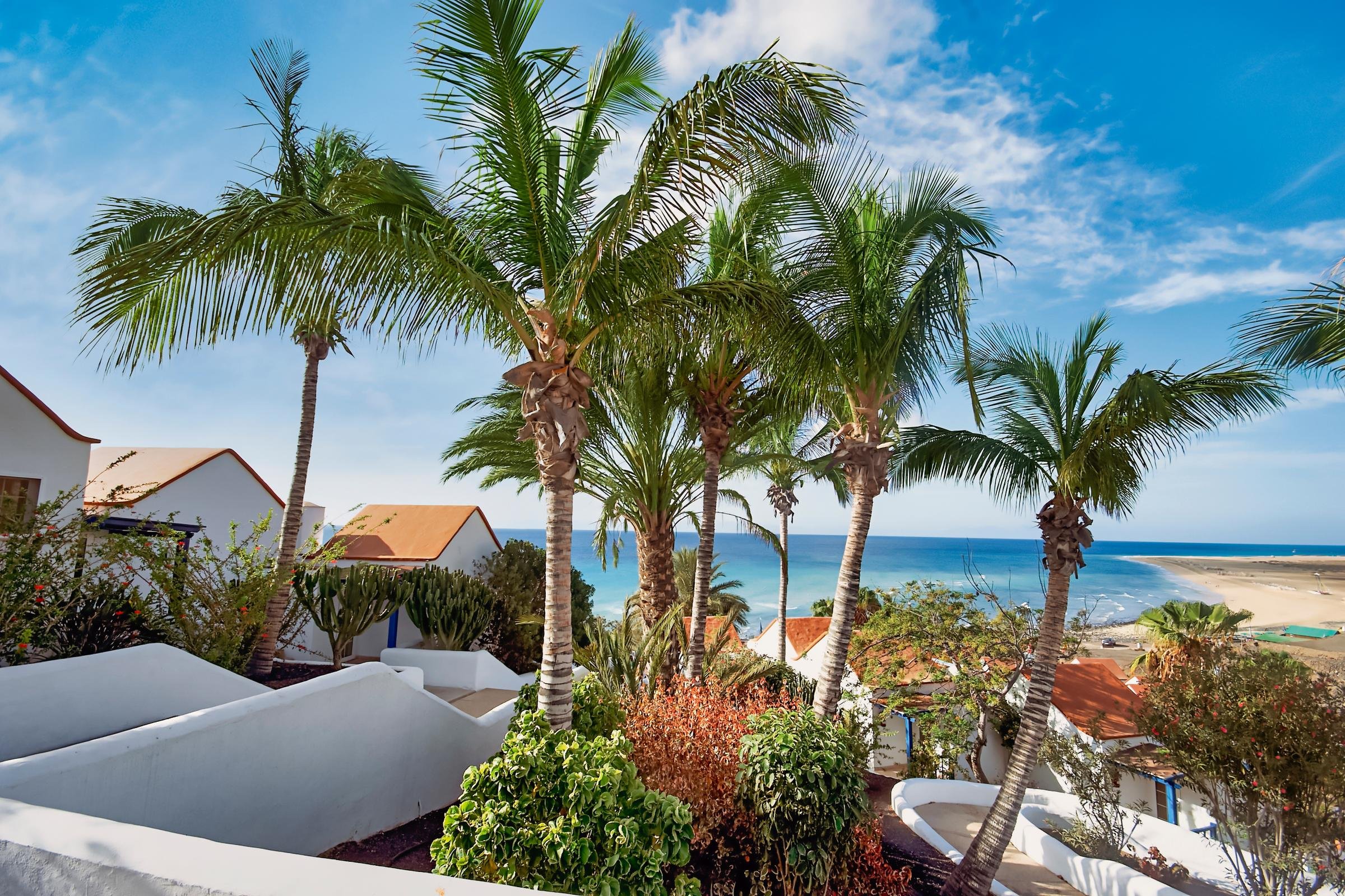 Blick auf eine grüne Palmenlandschaft am Meer bei einem Premium Cluburlaub von Aldiana