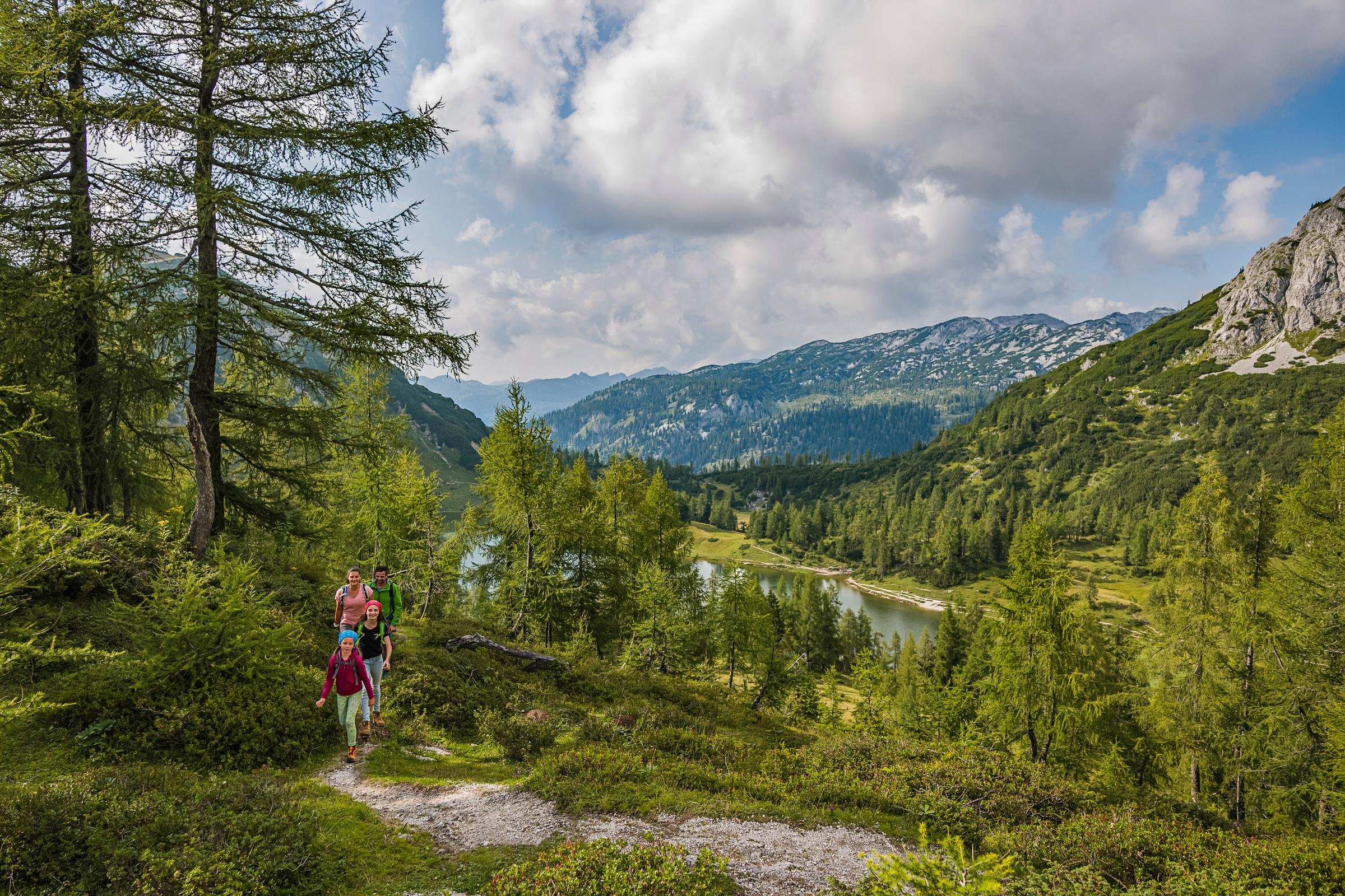 Wanderer in grüner Berglandschaft mit Fluss und Himmel, ideal für Naturliebhaber