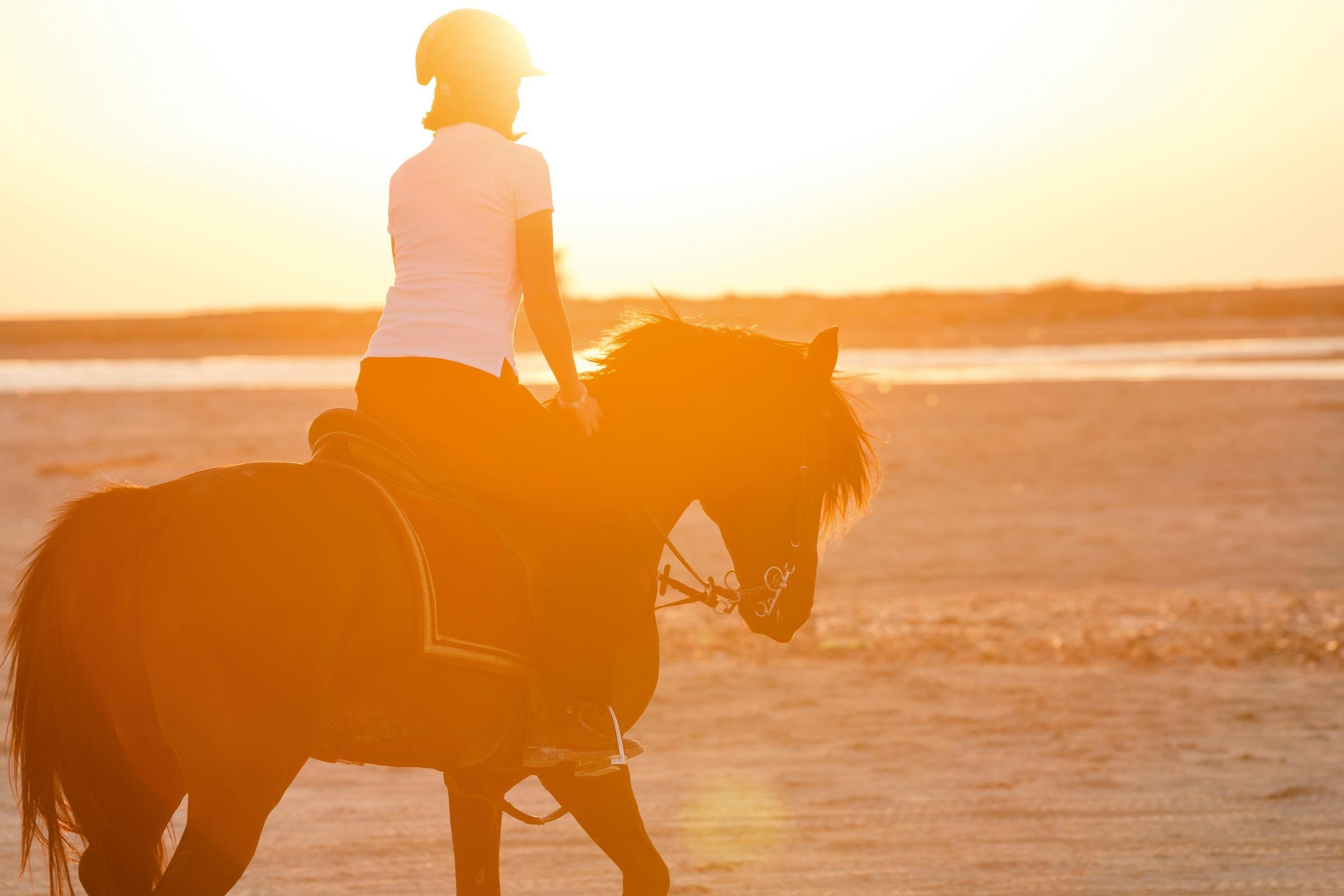 Junge Frau reitet bei Sonnenuntergang auf einem Pferd am Strand, Premium Cluburlaub bei Aldiana