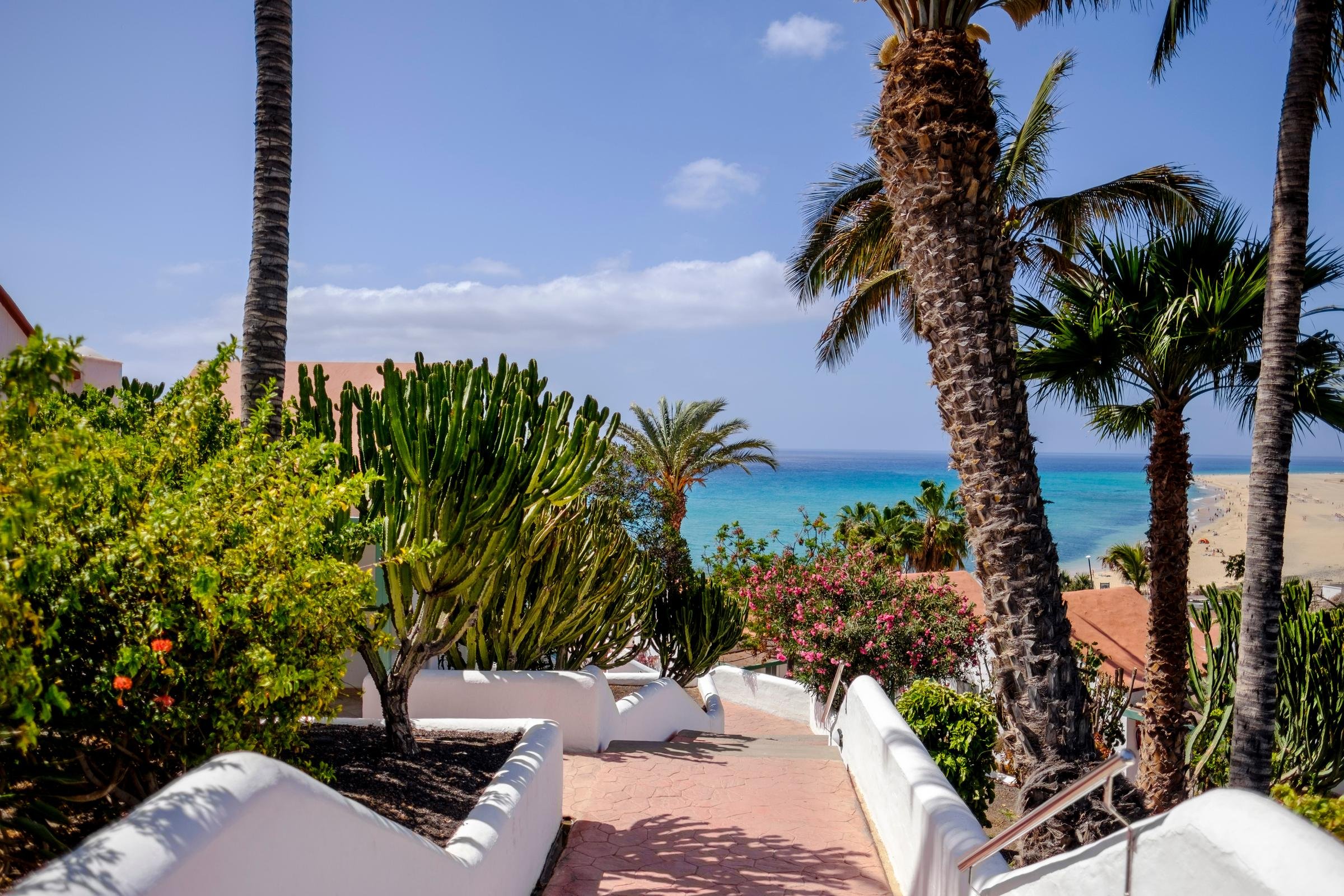 Traumurlaub am Strand mit Palmen und Sonnenschein bei Aldiana in einer tropischen Oase.