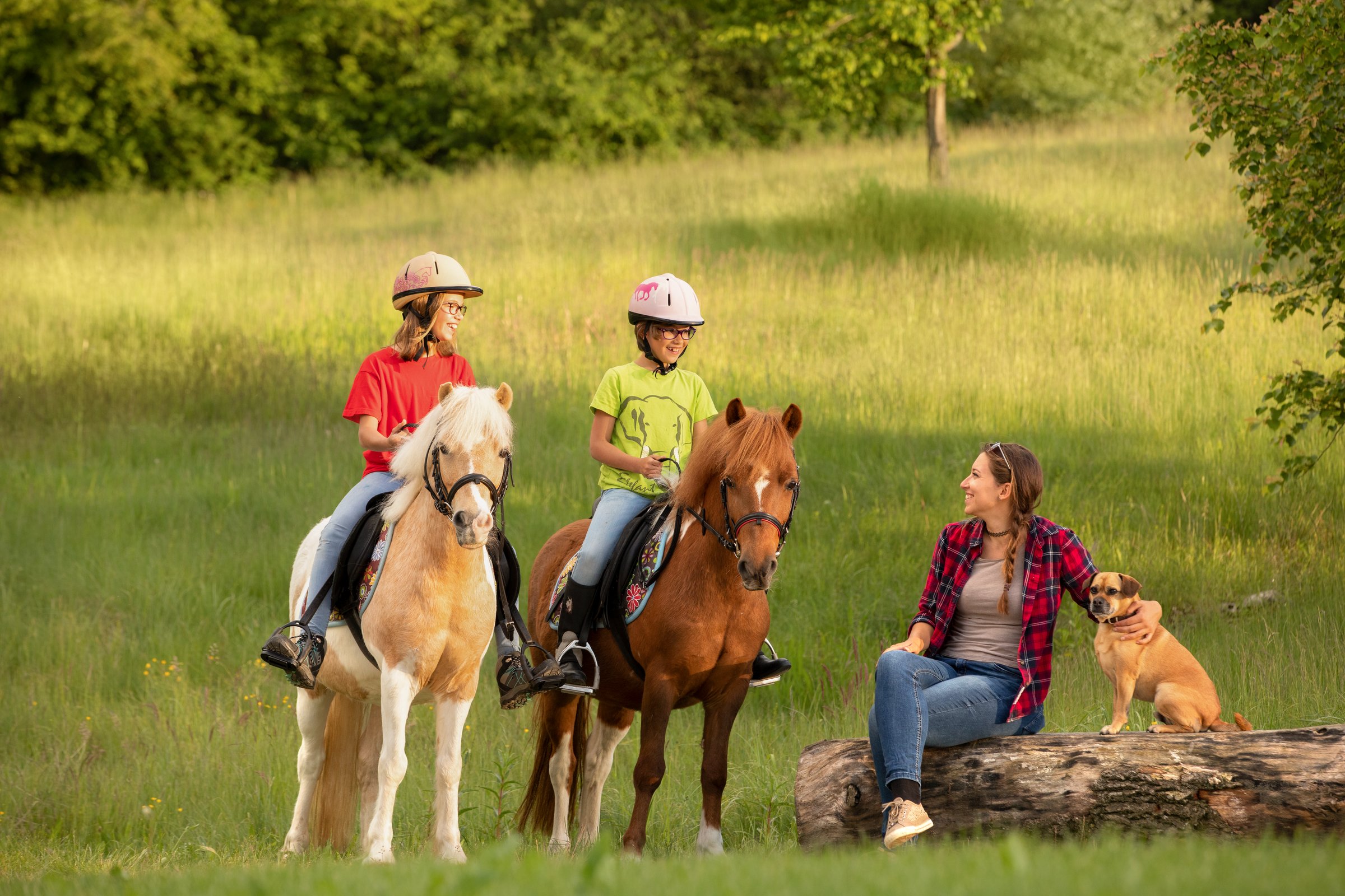 Zwei Kinder reiten auf Pferden im Grünen, eine Frau sitzt auf einem Baumstamm mit Hund