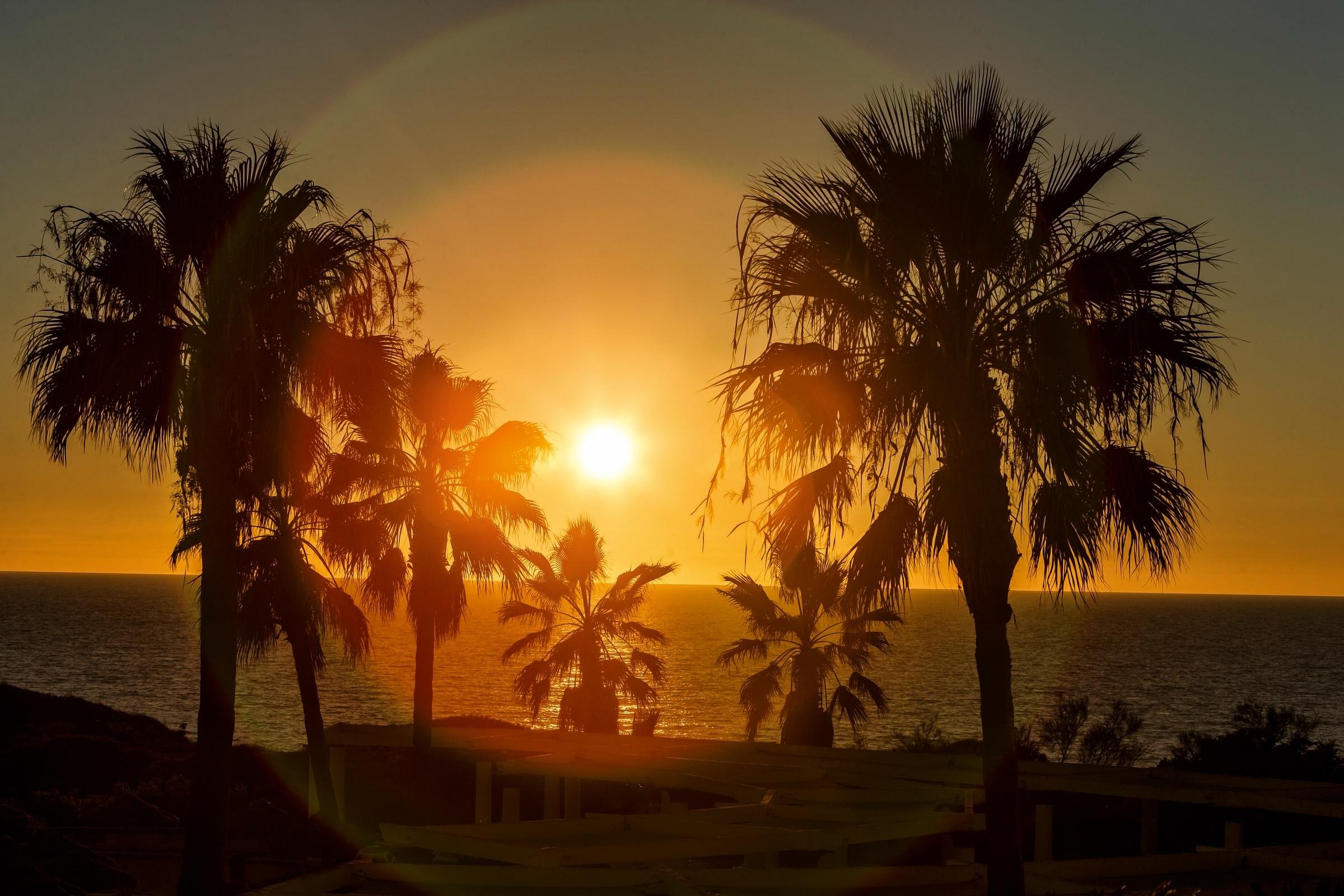 Ein Sonnenuntergang über Palmen am Strand, traumhaftes Urlaubsfeeling bei Aldiana.