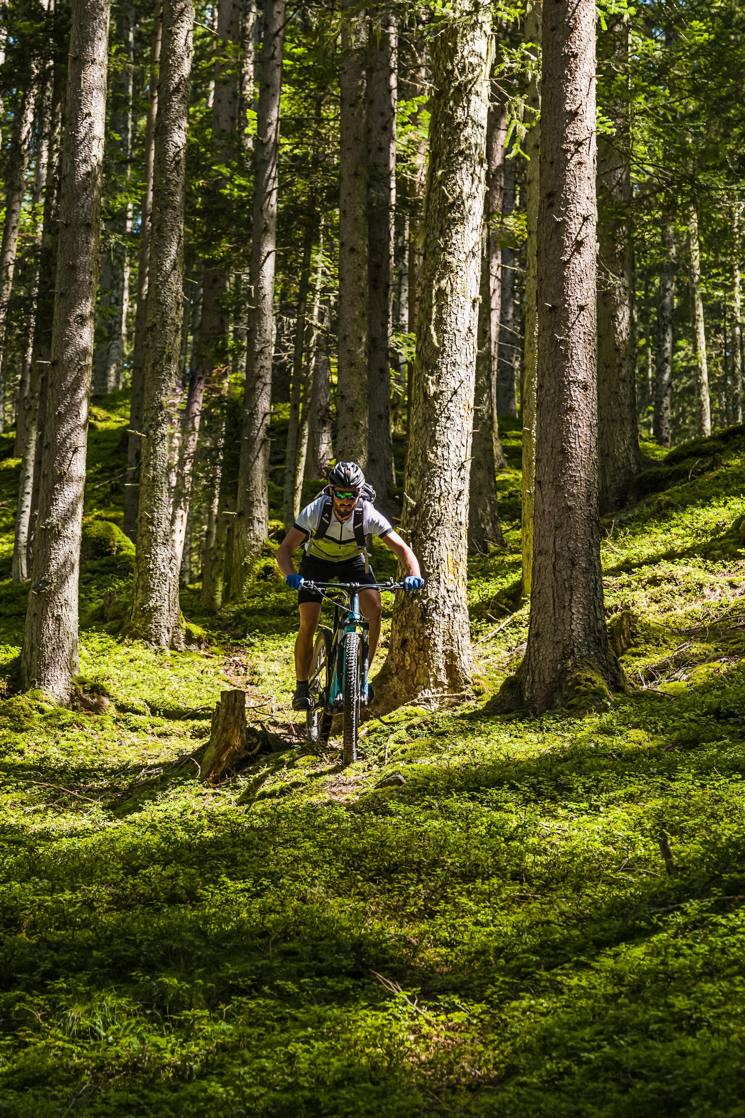 Mann fährt Mountainbike durch grünen Wald bei Tageslicht im Premium Cluburlaub