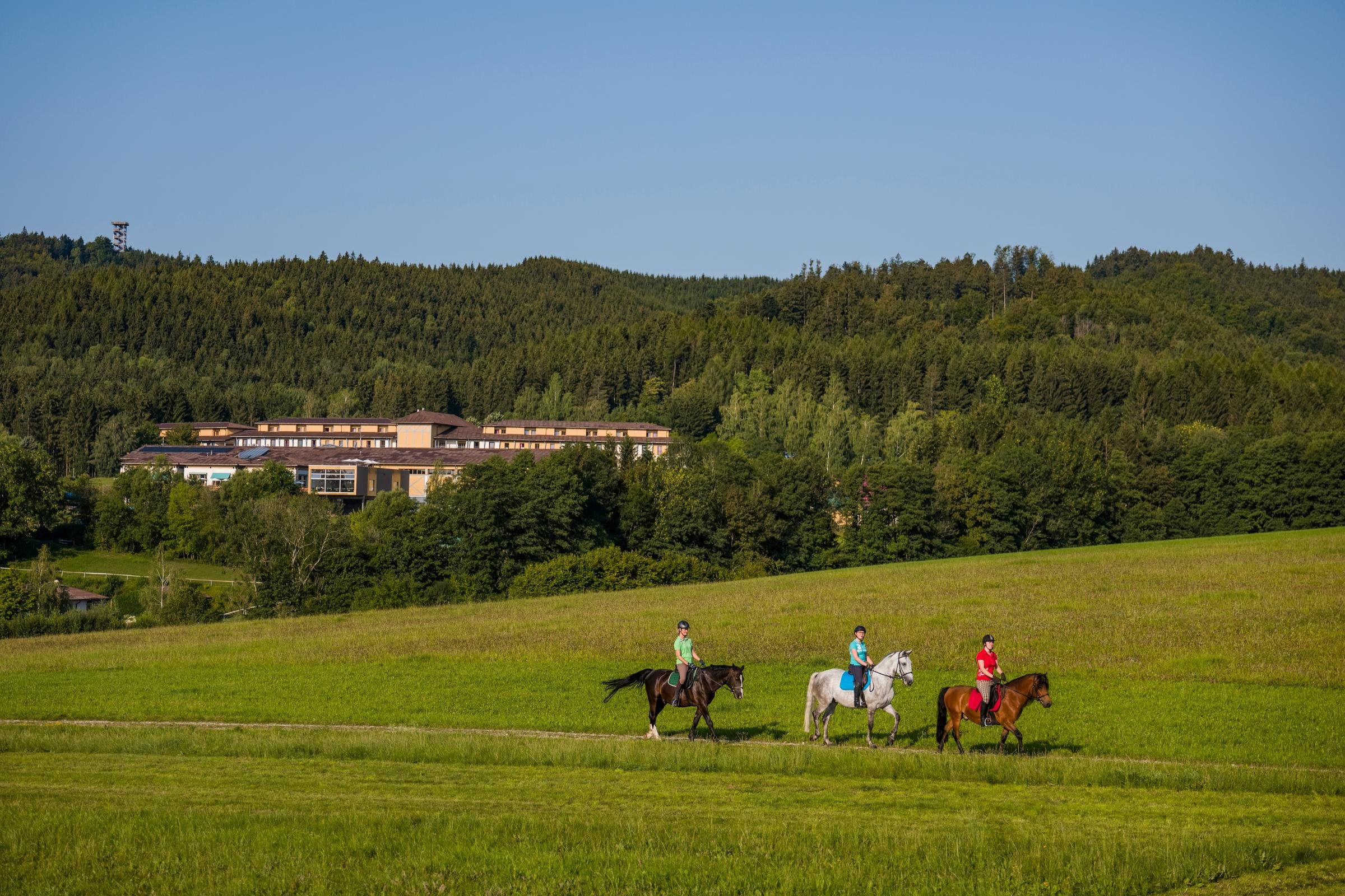 Menschen beim Reiten auf einer grünen Wiese in einer idyllischen Landschaft bei Aldiana Urlaub