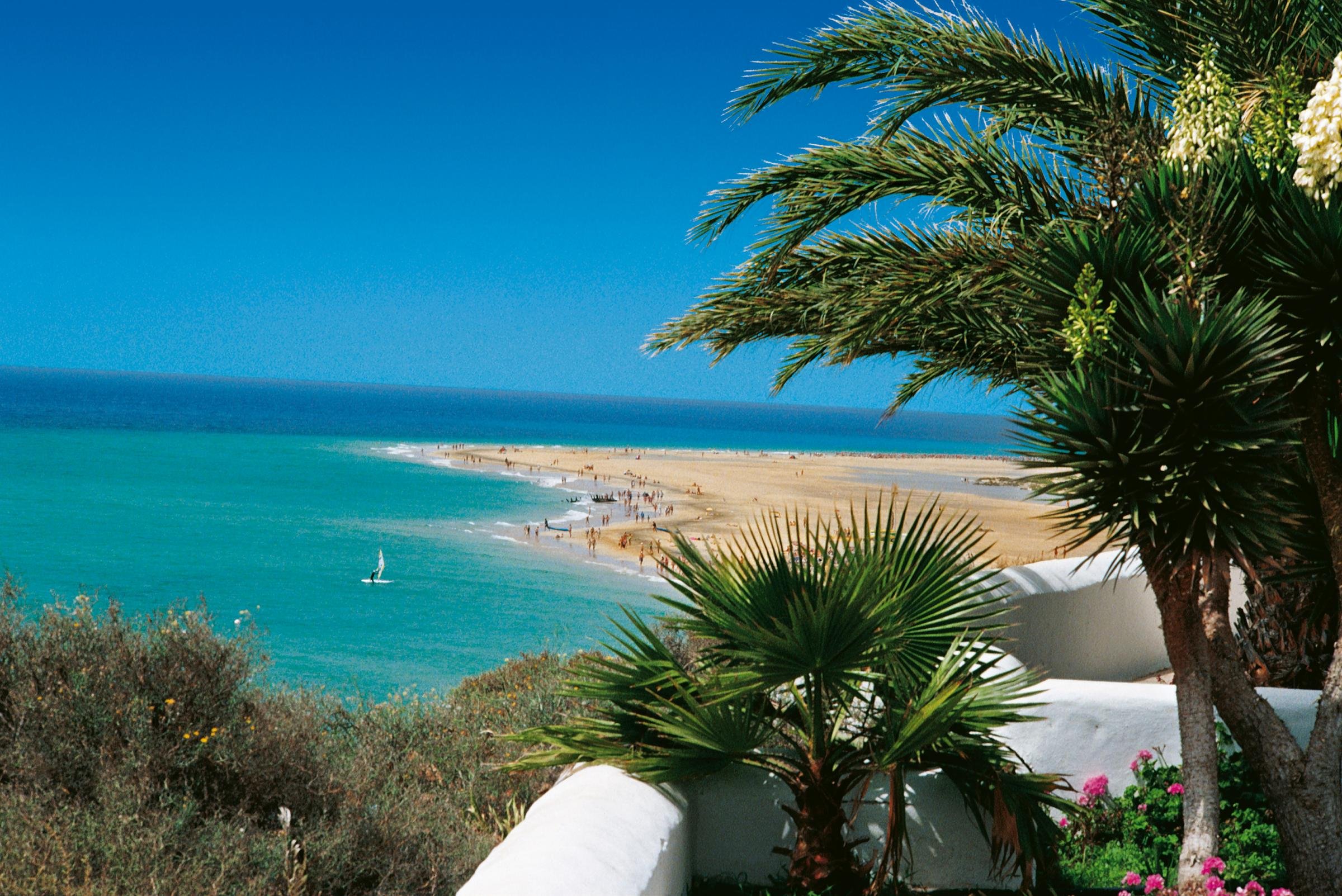 Luxuriöser Strandurlaub bei Aldiana mit Palme, Meer und Sonnenklarer Himmel