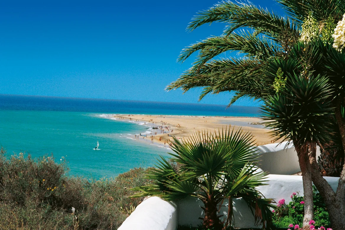 Luxuriöser Strandurlaub bei Aldiana mit Palme, Meer und Sonnenklarer Himmel