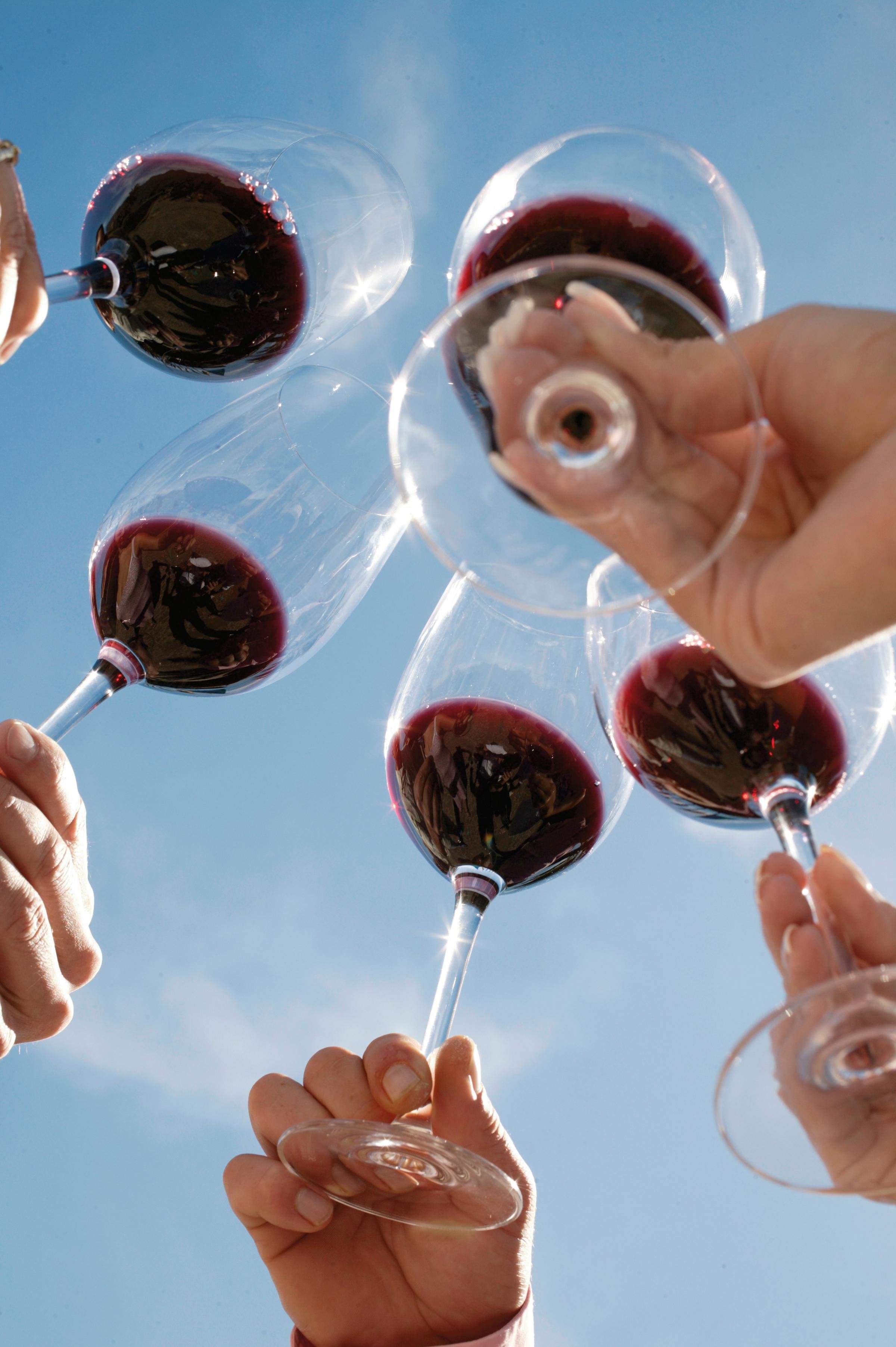 Mehrere Menschen stoßen mit Rotwein in gläsern für einen Premium Cluburlaub an